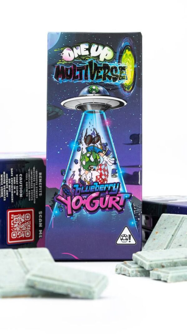 One Up Multiverse Blueberry Yogurt Chocolate Mushroom Bars