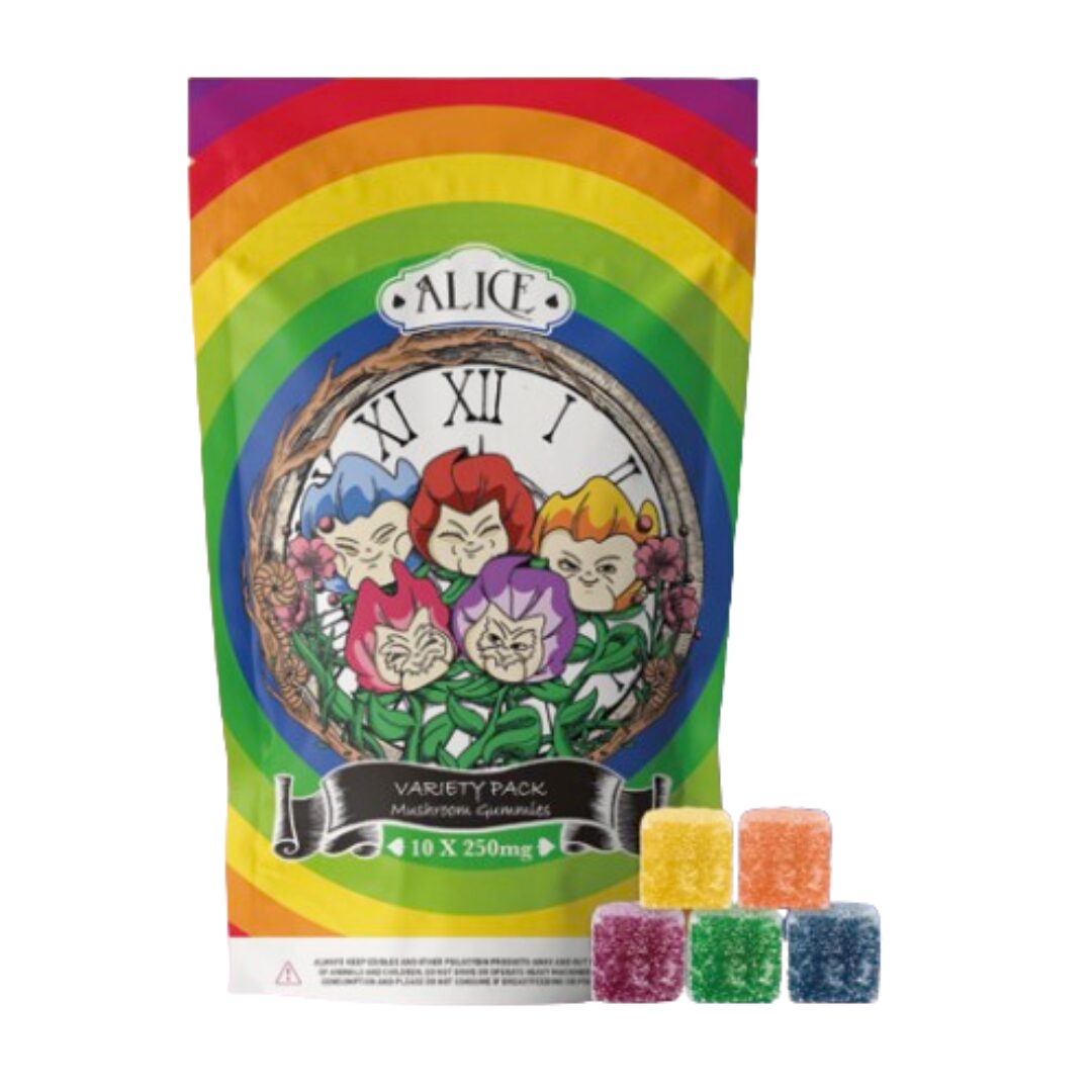Alice Mushroom Gummy – Variety Pack (2500mg Golden Teacher)