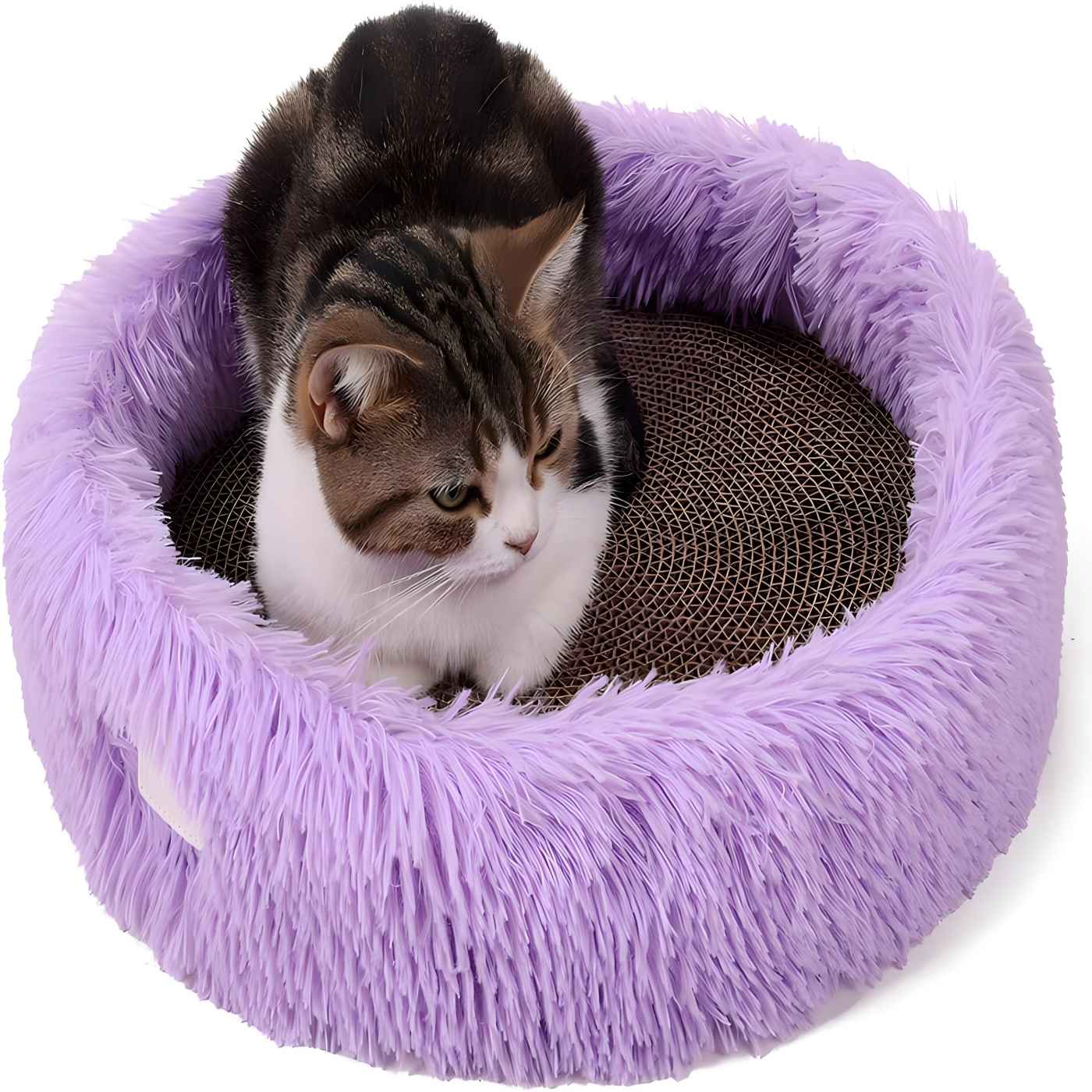 Purple open air lift simple plush cat nest - a convenient and comfortable pet rest space