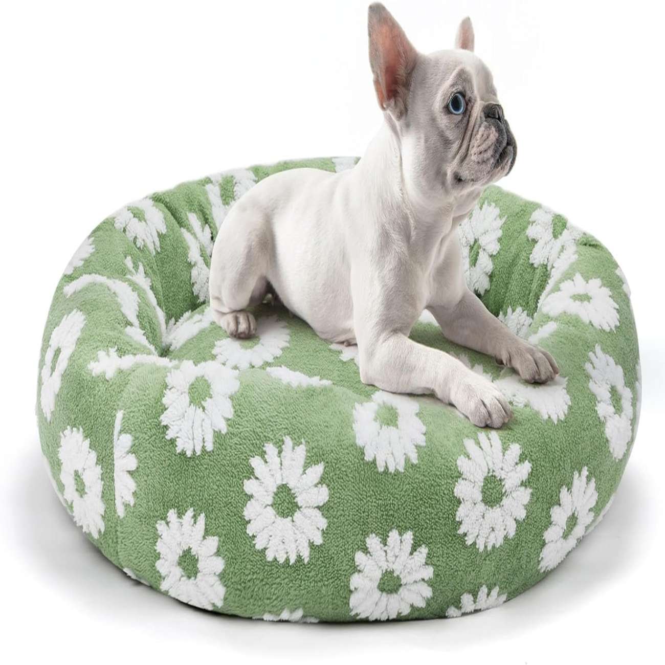 Light green white flower shaped small dog house - comfortable and warm pet resting place