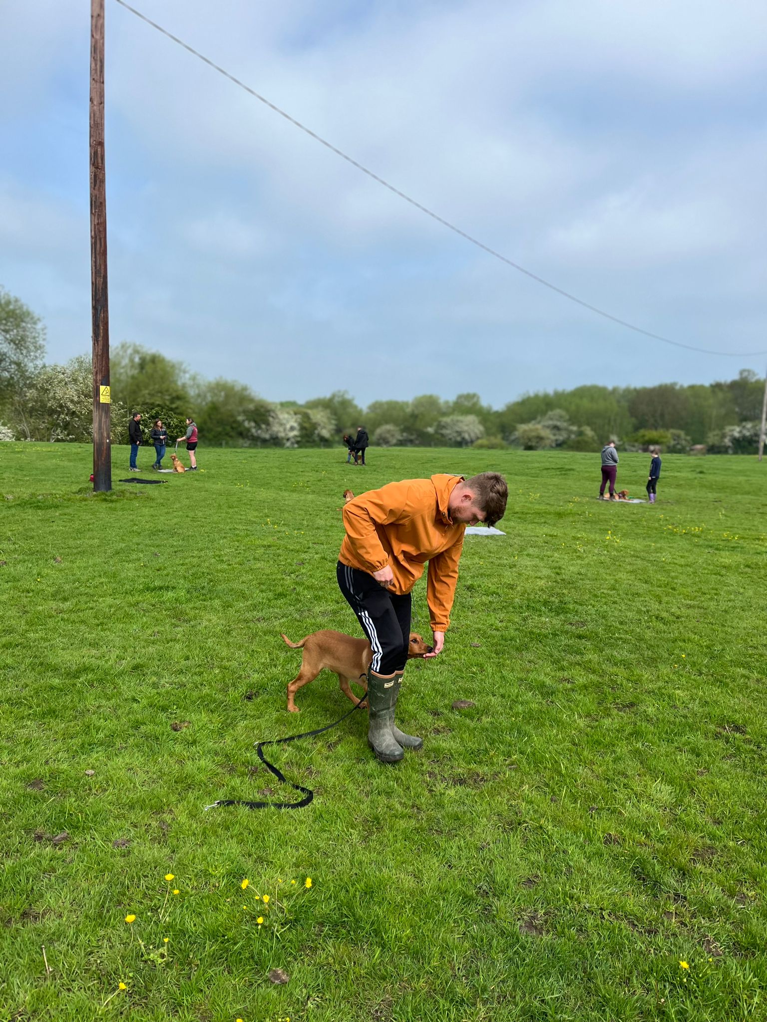 Group Training 6+ Months