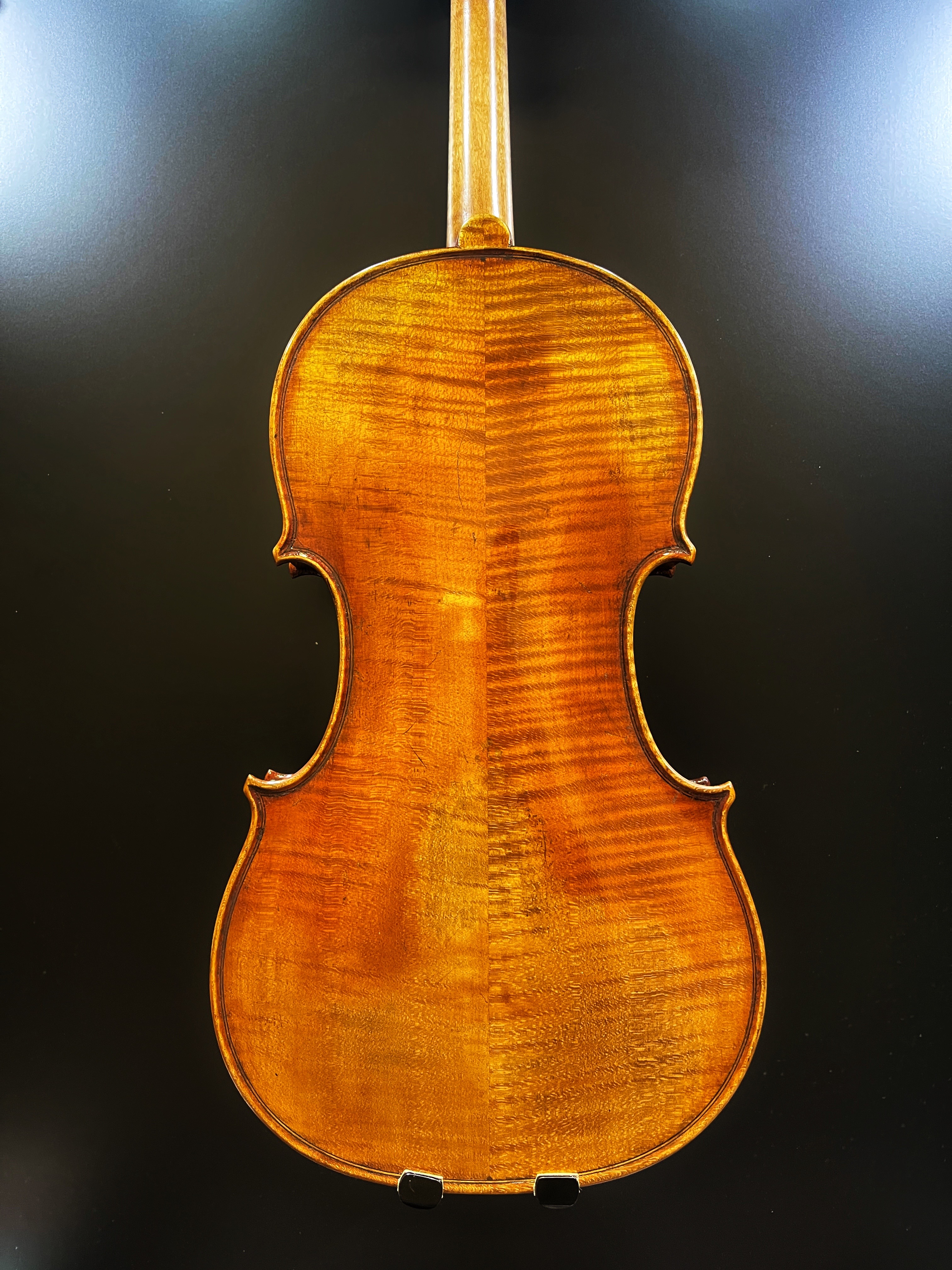Violin BV05