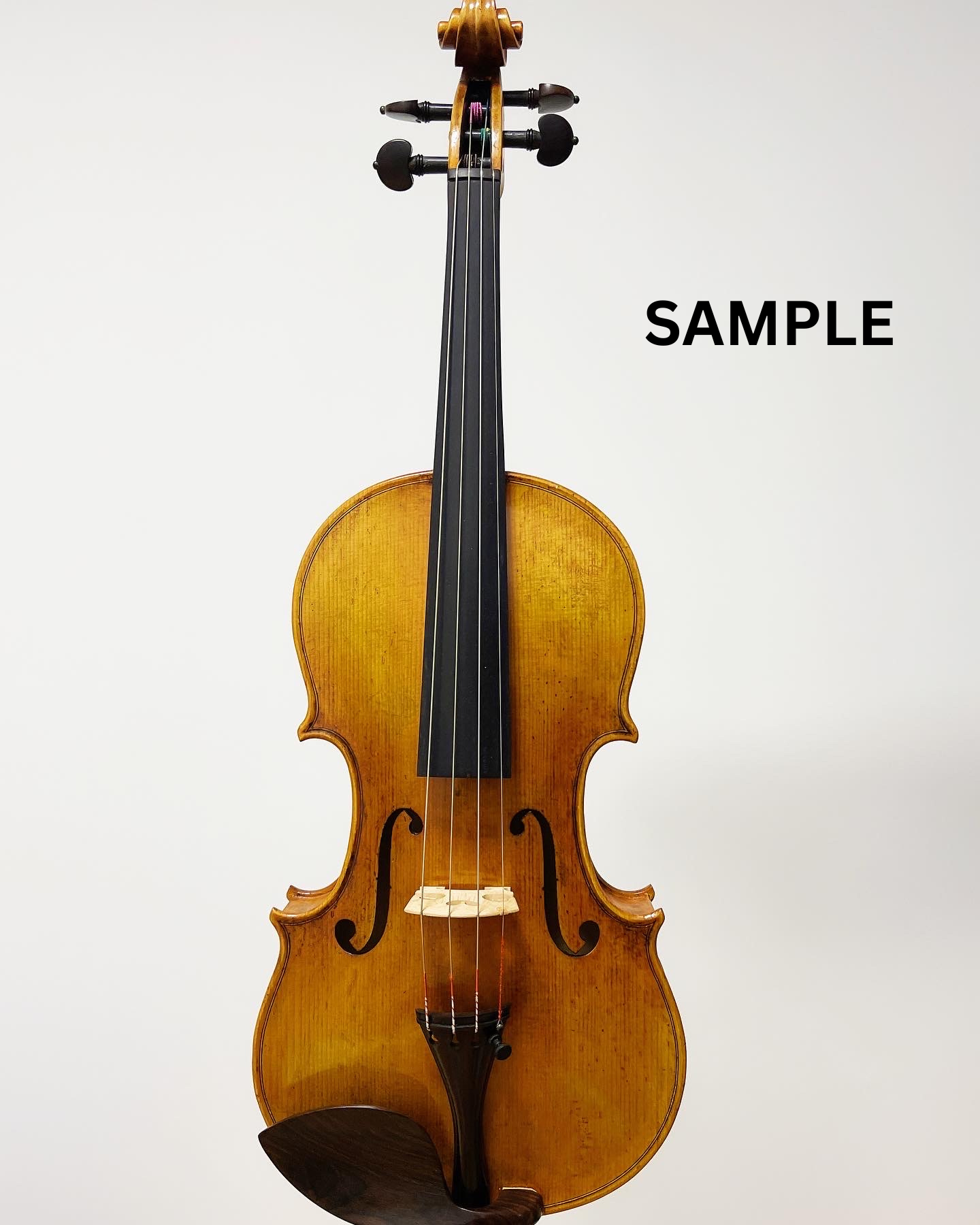 Violin BV03