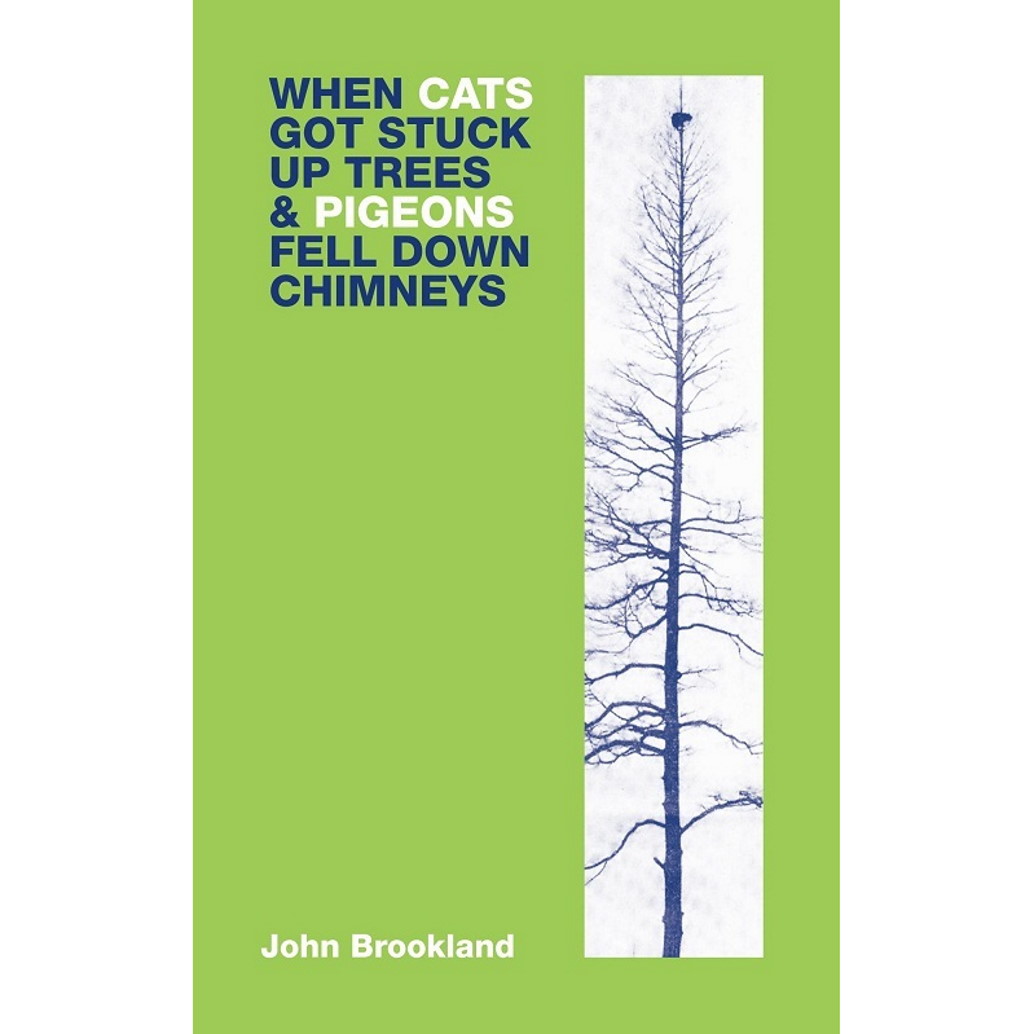 When Cats Got Stuck Up Trees