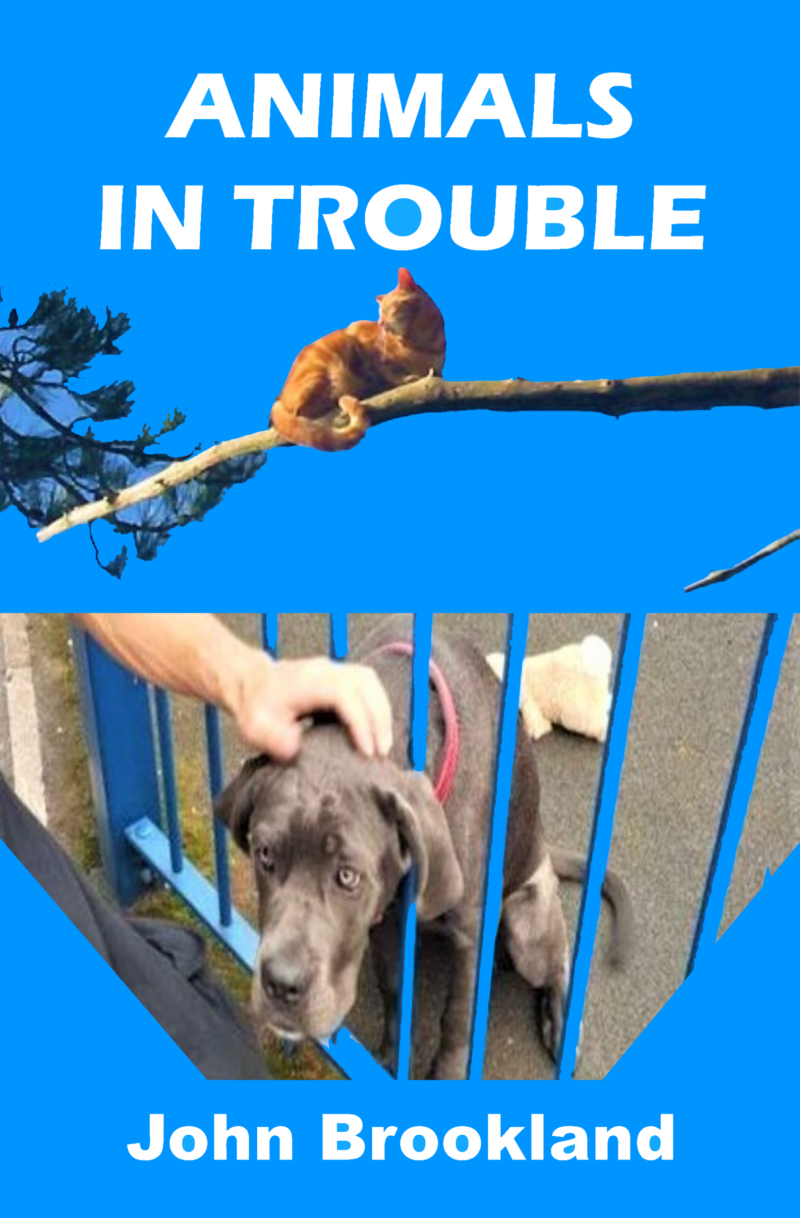 Animals In Trouble
