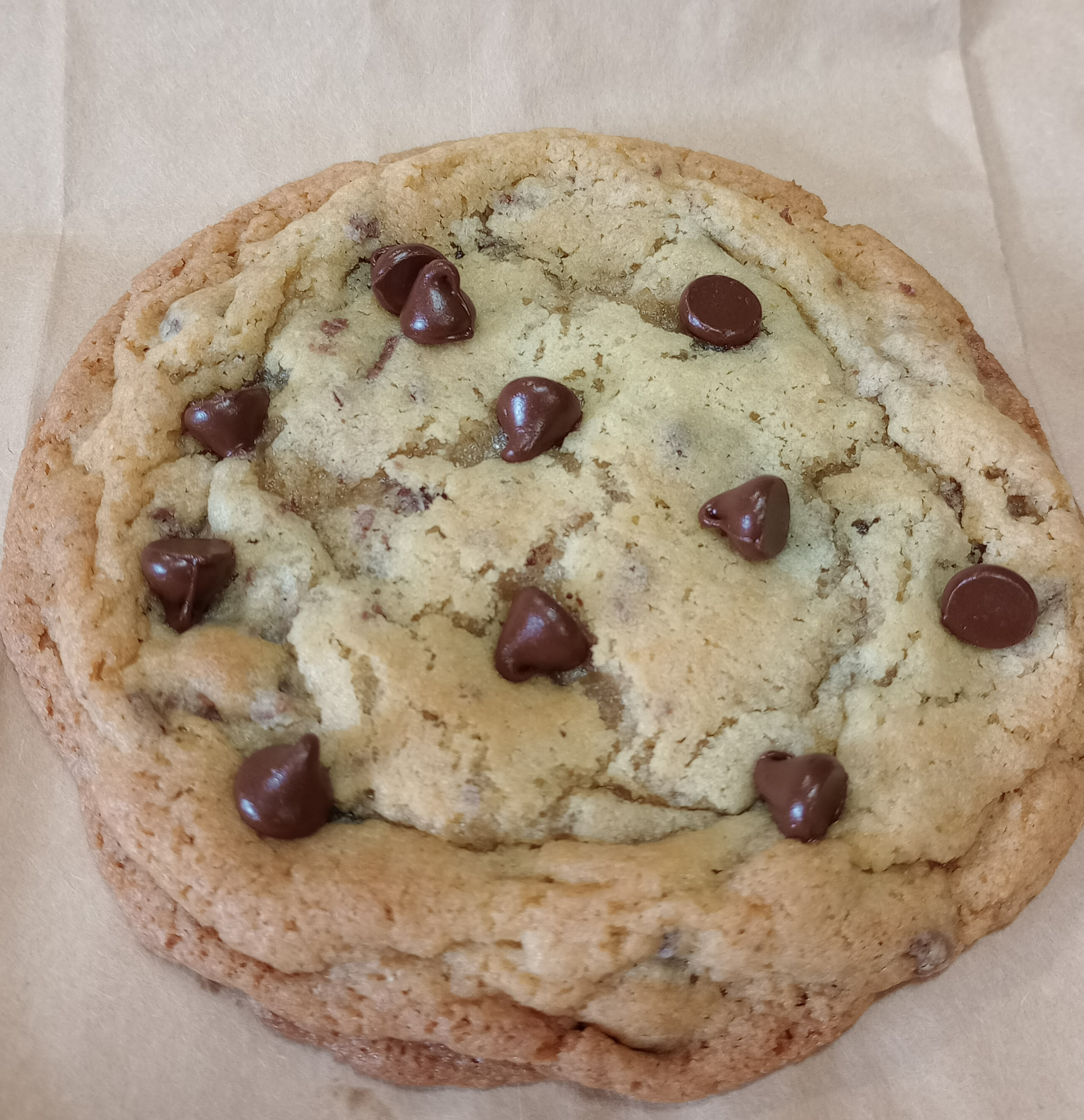 Chocolate Chip