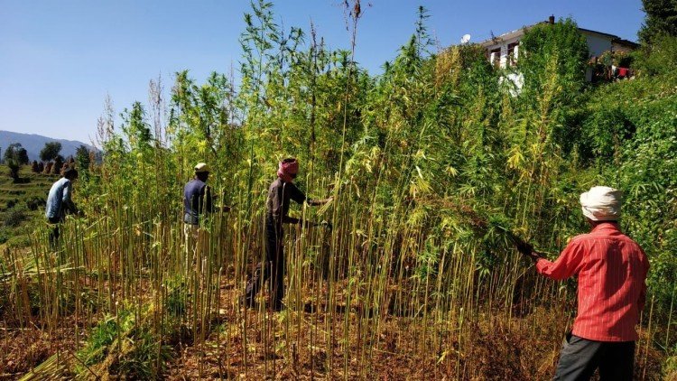 Champawat Kumaon 2022