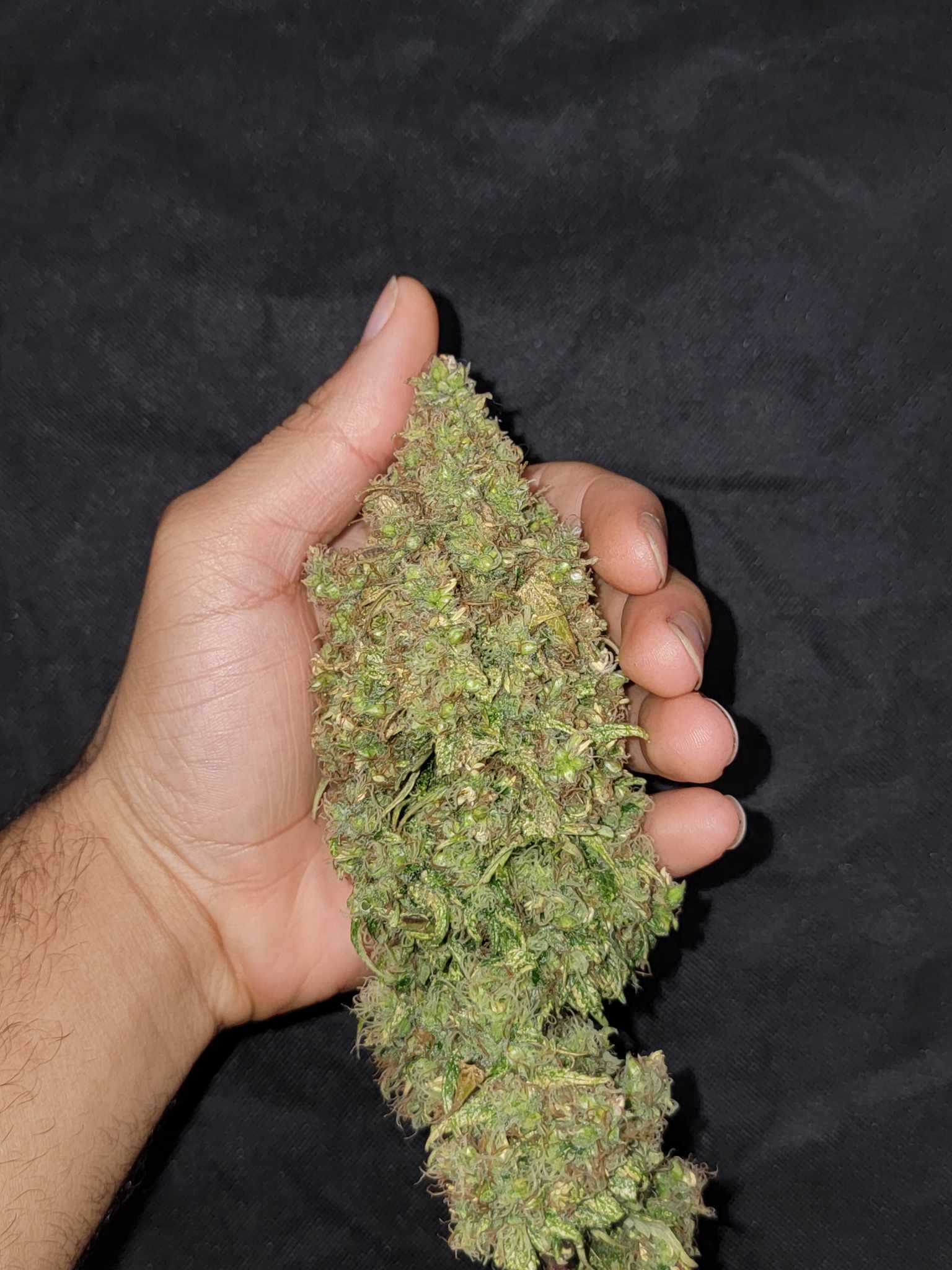 Hopar Valley 2021 Selection 2