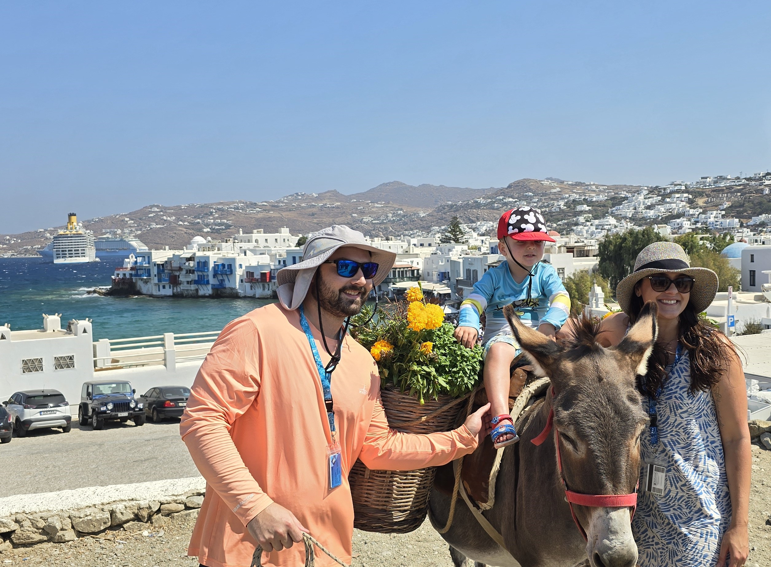 Private 4 hours Mykonos Island tour by Luxury Minibus 9-11 passengers