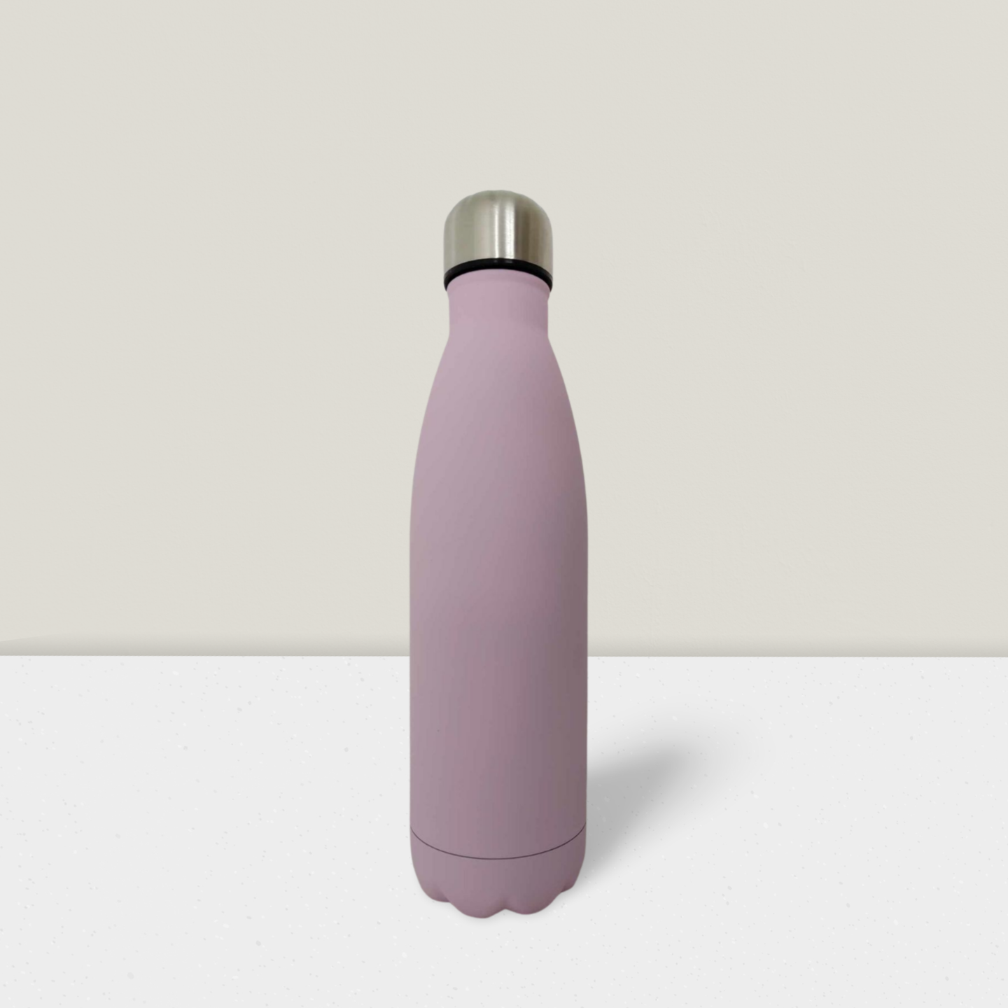 Stainless Steel Insulated Water Bottle