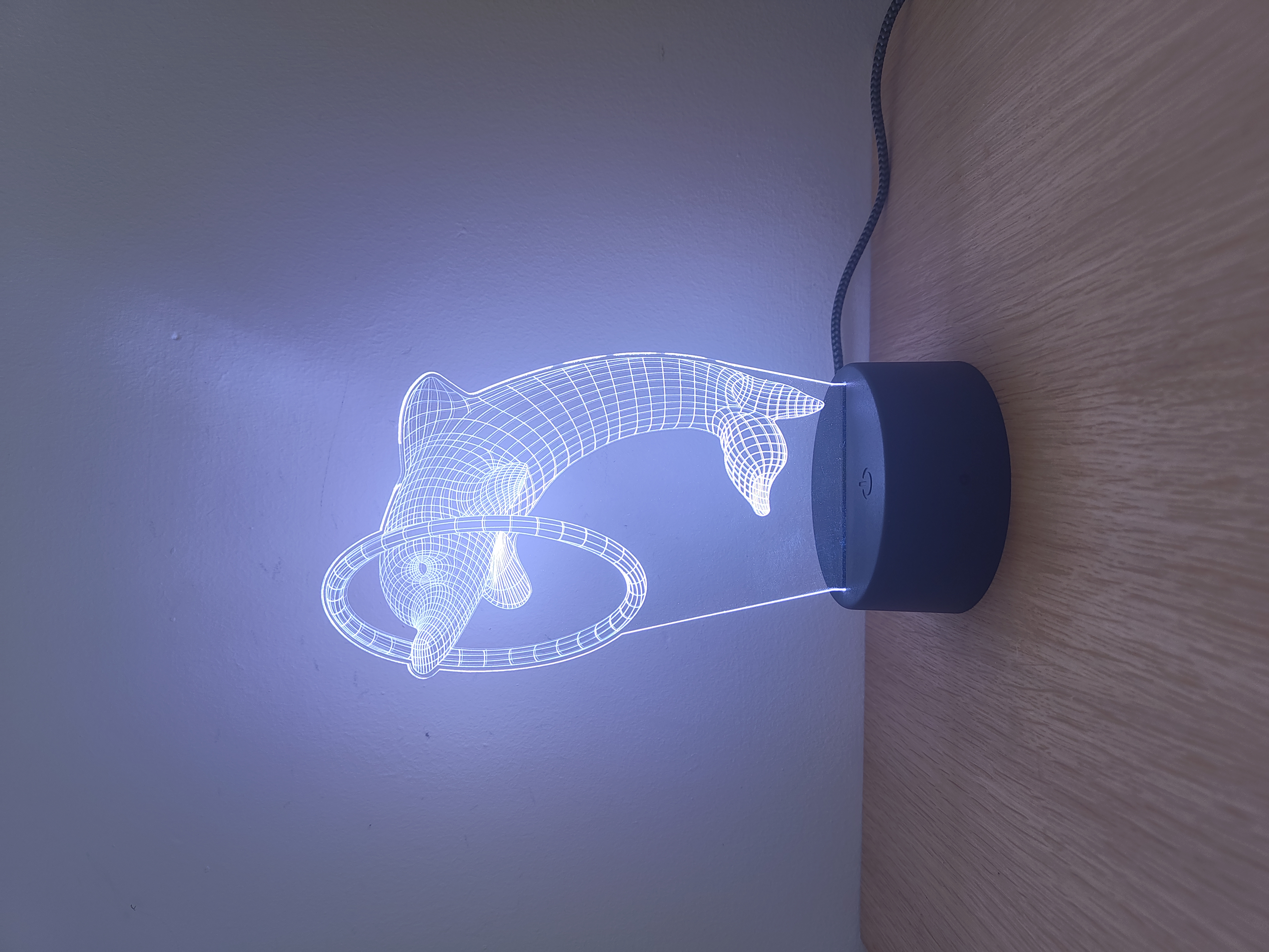 3D LED night lamp - Dolphin Hoop 