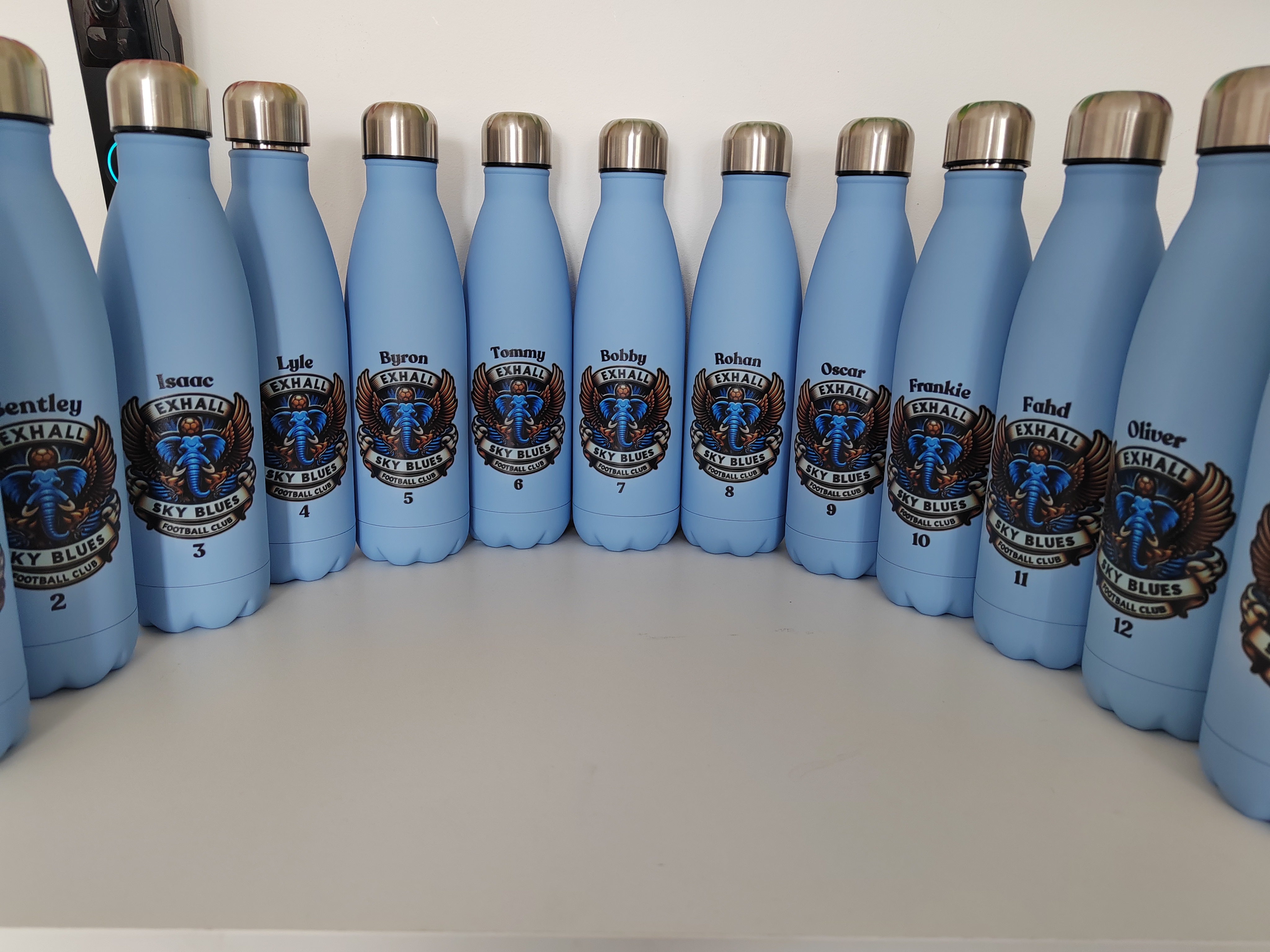 Stainless Steel Insulated Water Bottle - Any UV printed LOGO