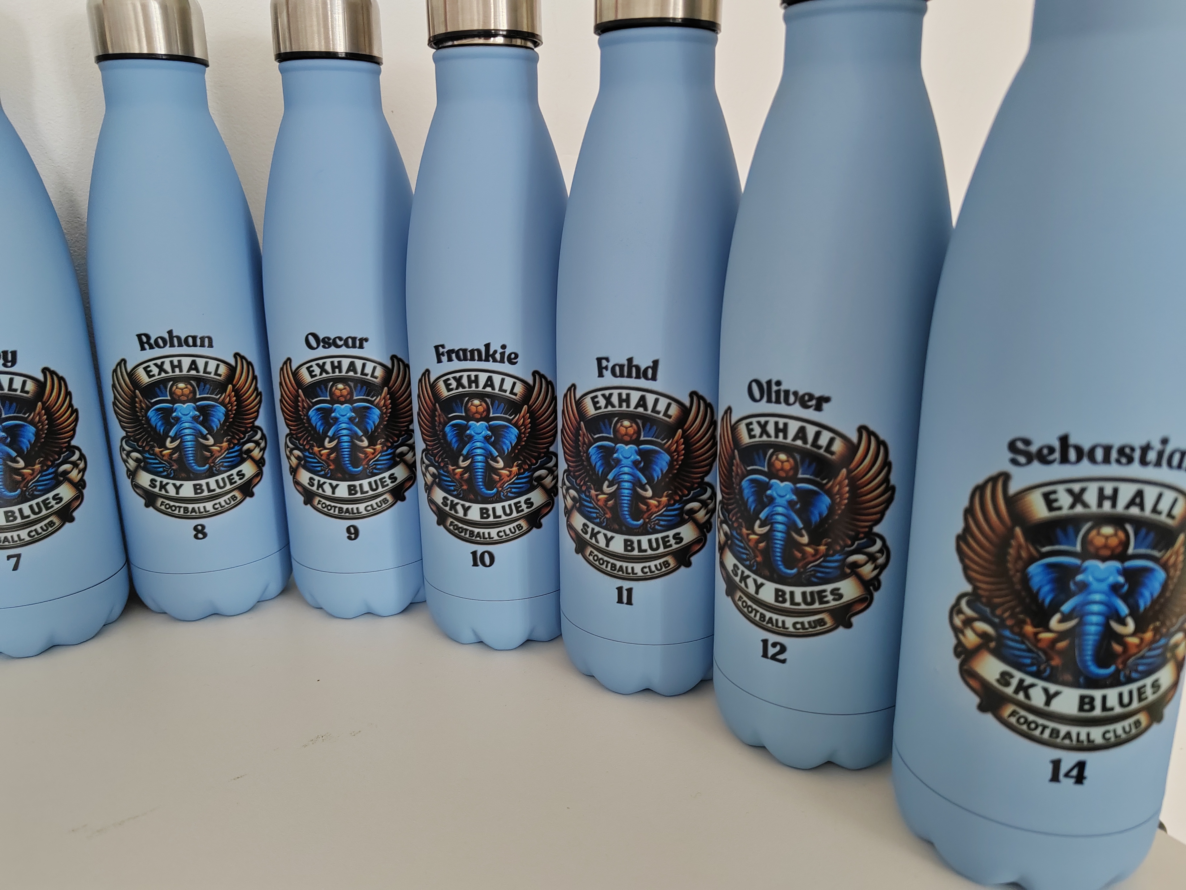 Stainless Steel Insulated Water Bottle - Any UV printed LOGO