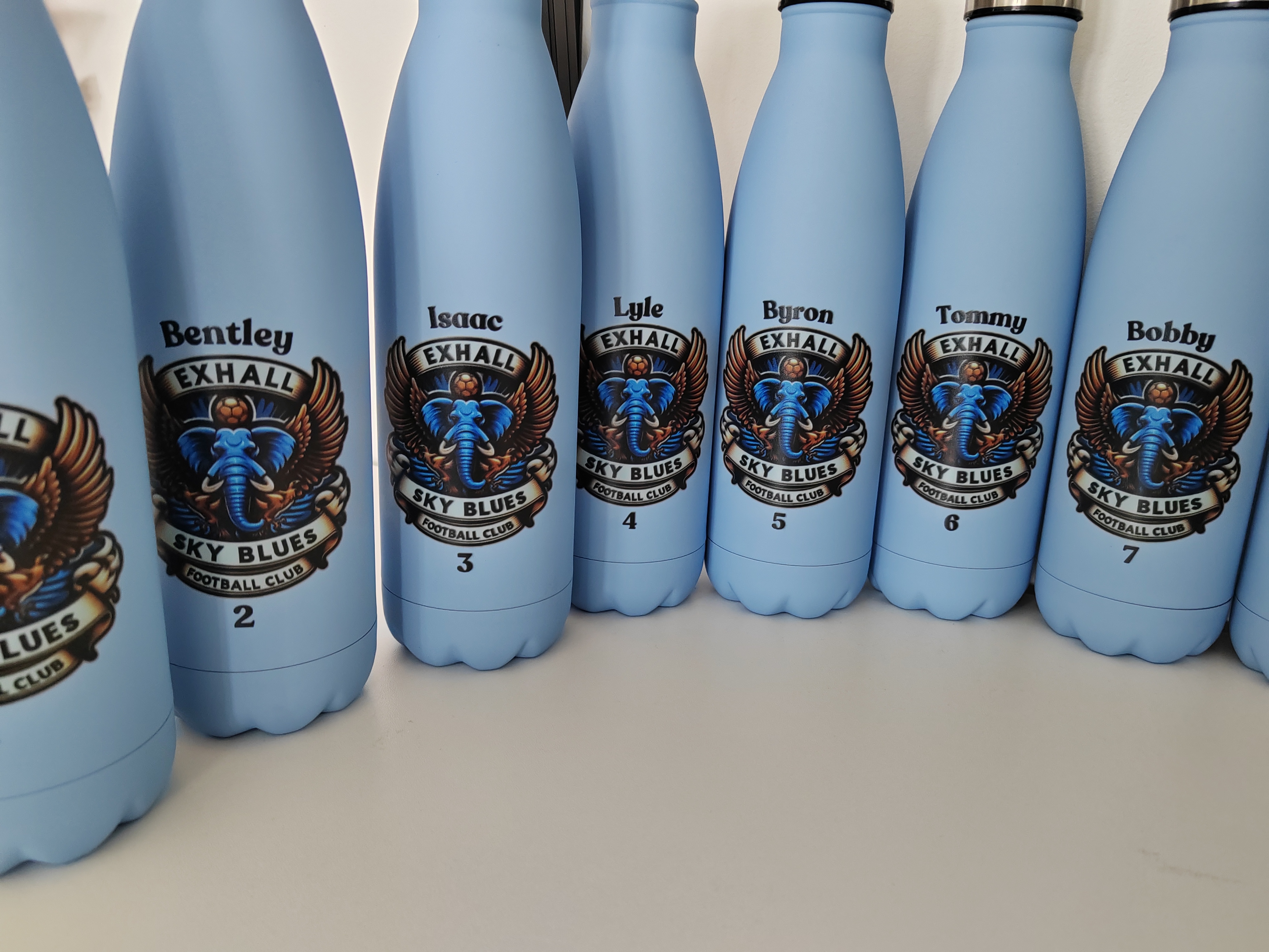 Stainless Steel Insulated Water Bottle - Any UV printed LOGO