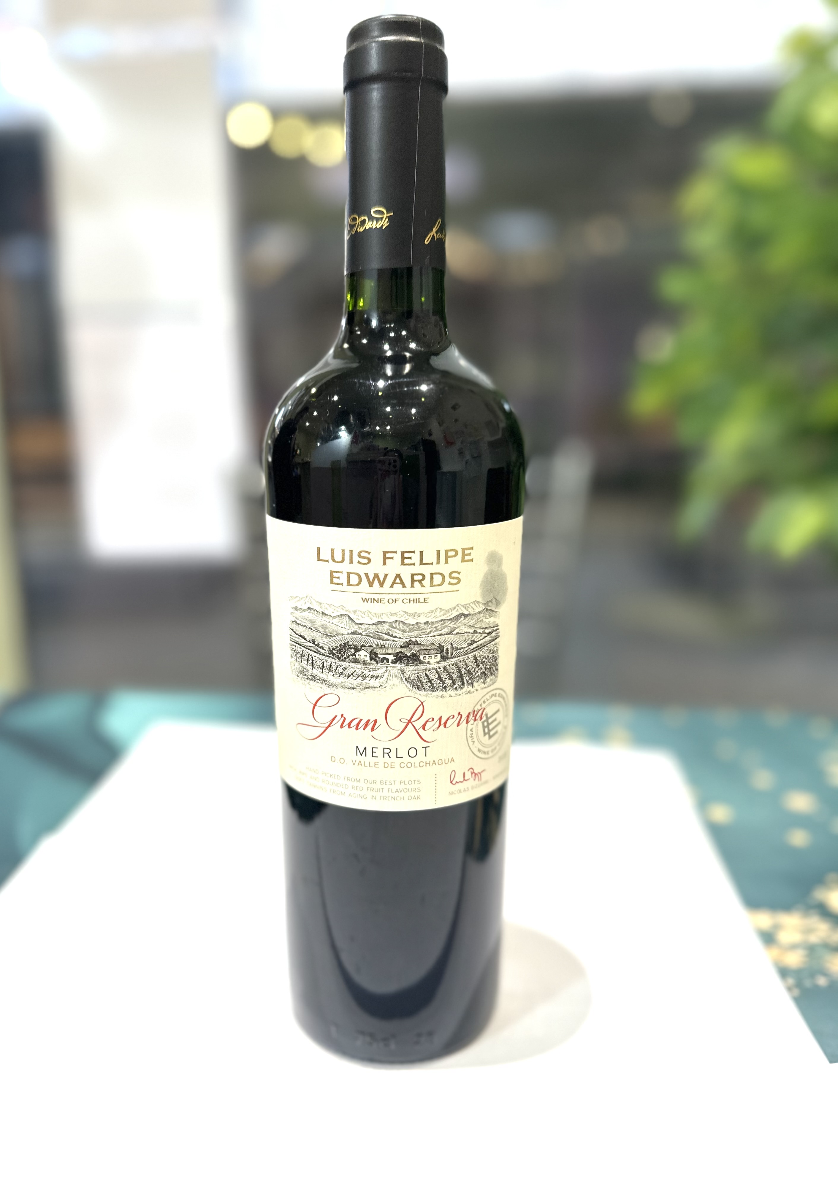 Merlot (Chili) 750ml  Red
