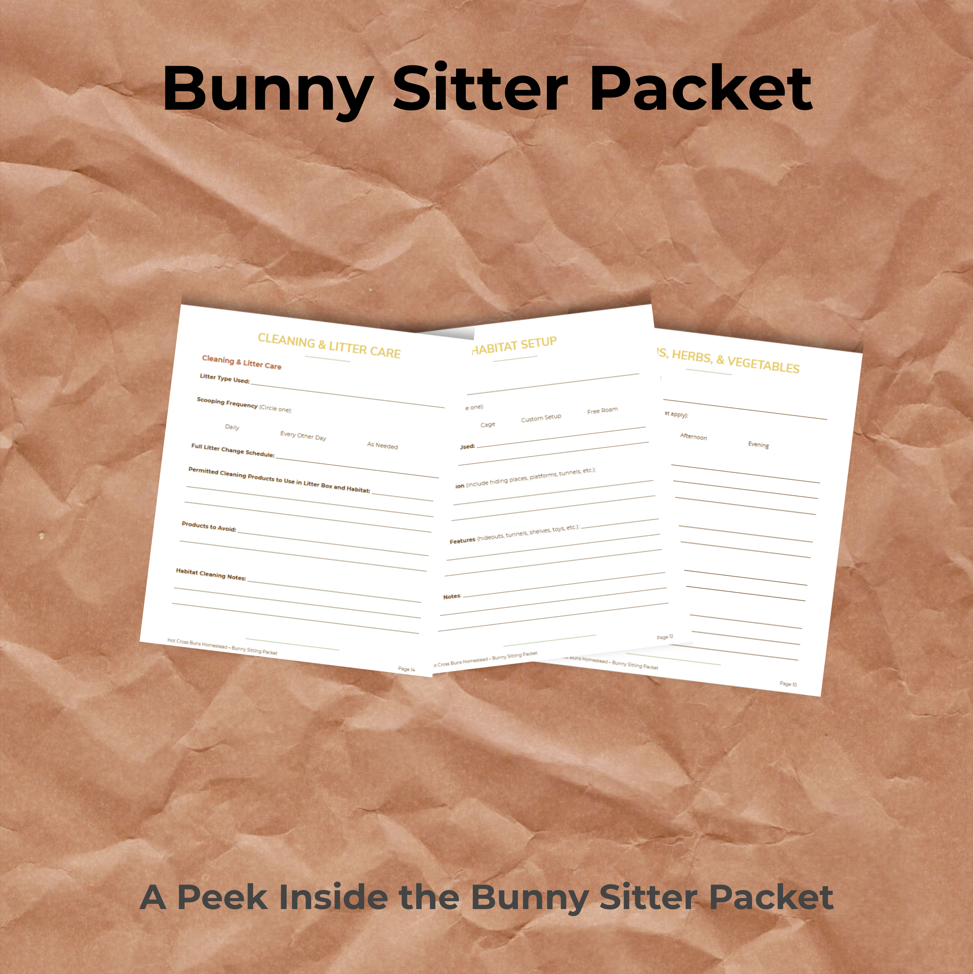 Bunny Sitter Information Packet
