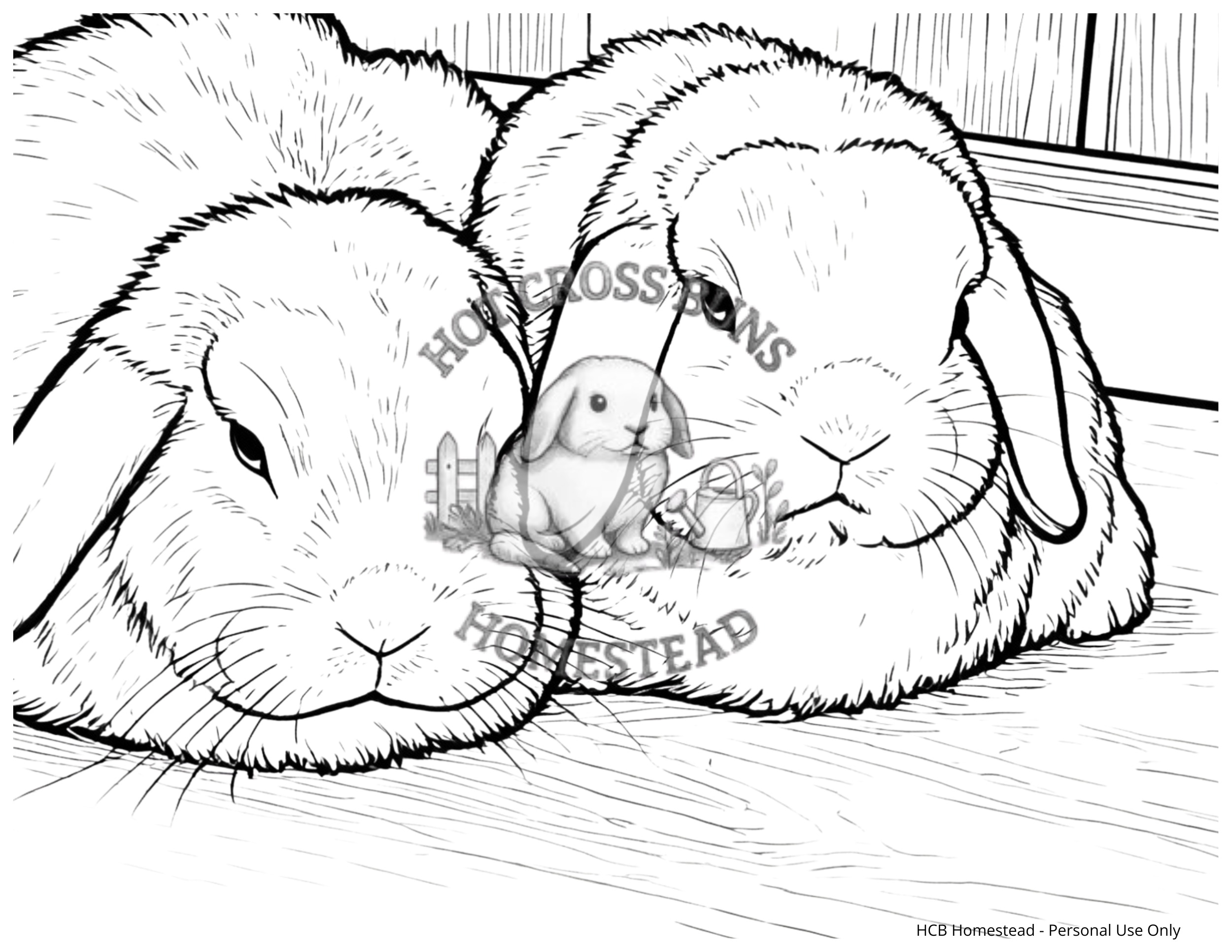 A Hot Cross Buns Coloring Book