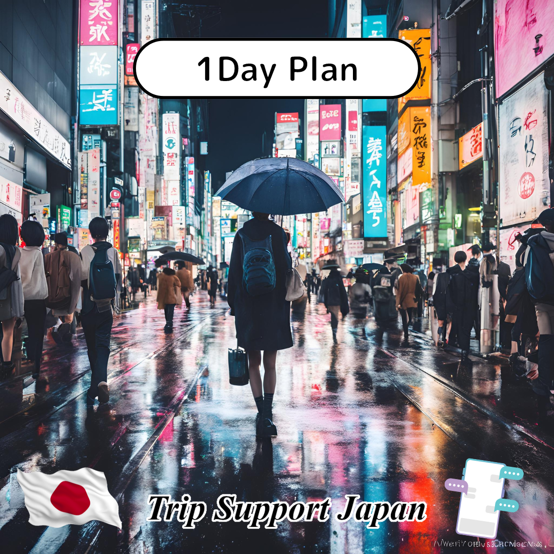 1 Day Unlimited Messaging 