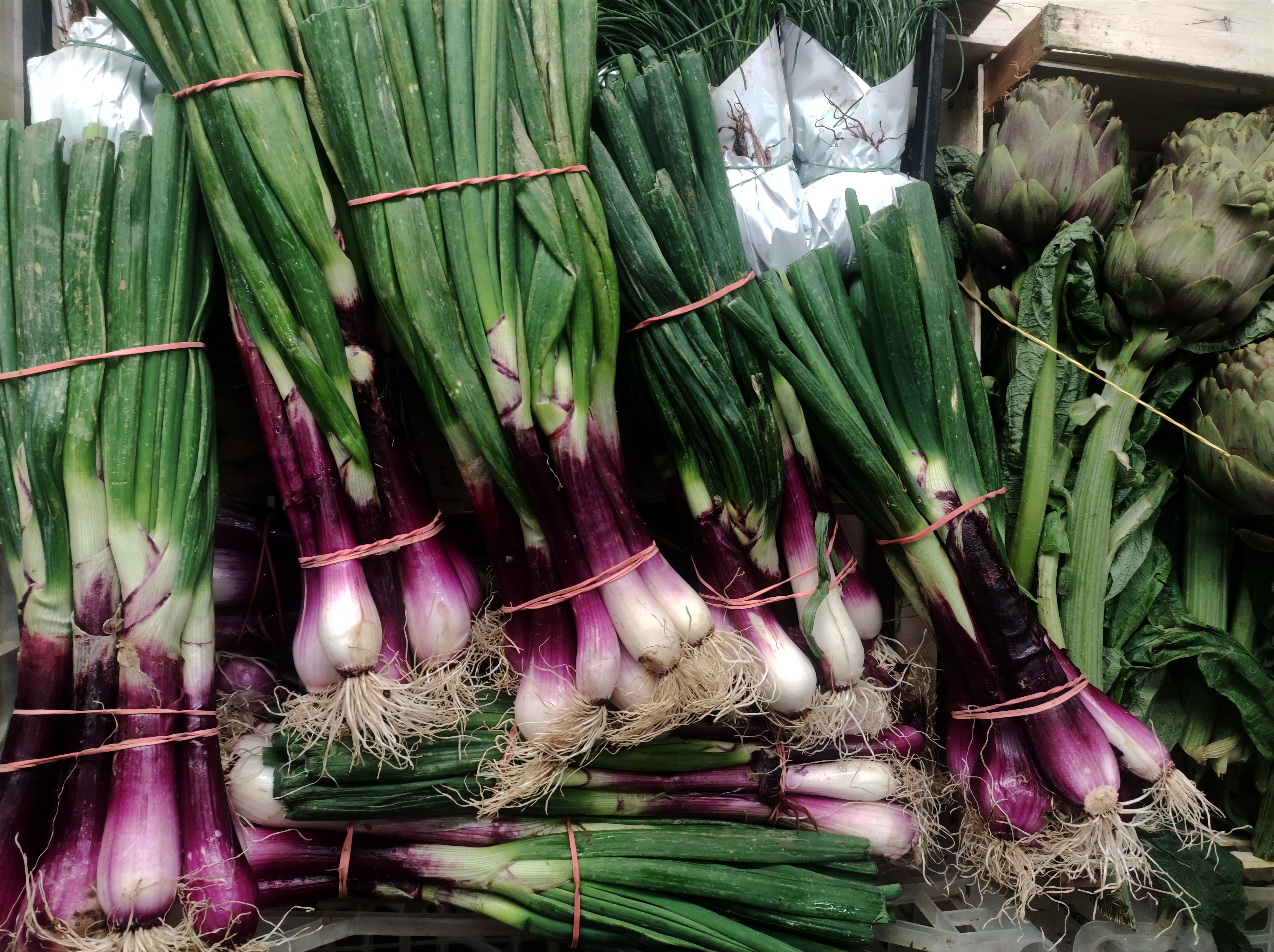 CIPOLLOTTI FRESCHI DI TROPEA 3,90 al kg - 500 g 
