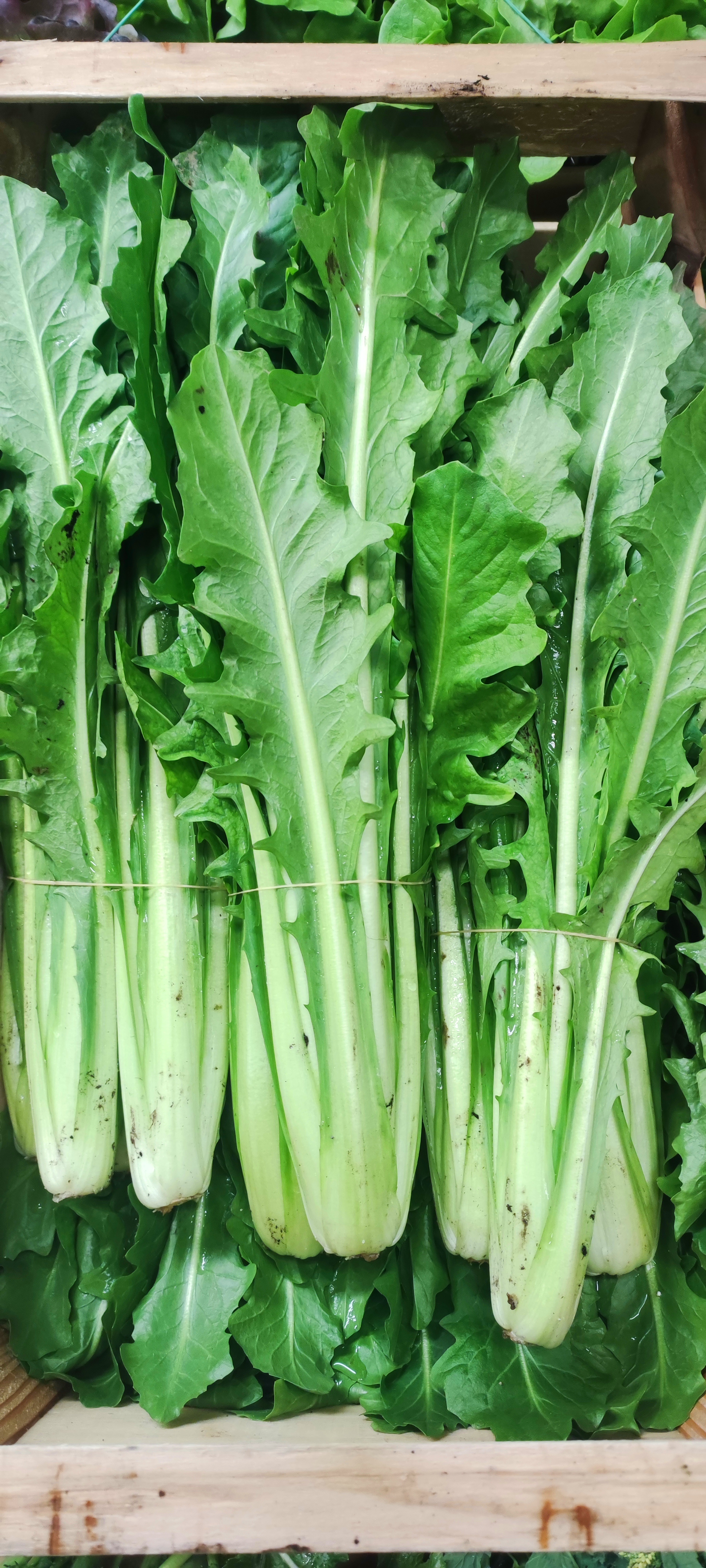 Cicoria Catalogna novella 2,50 al kg - 500 g