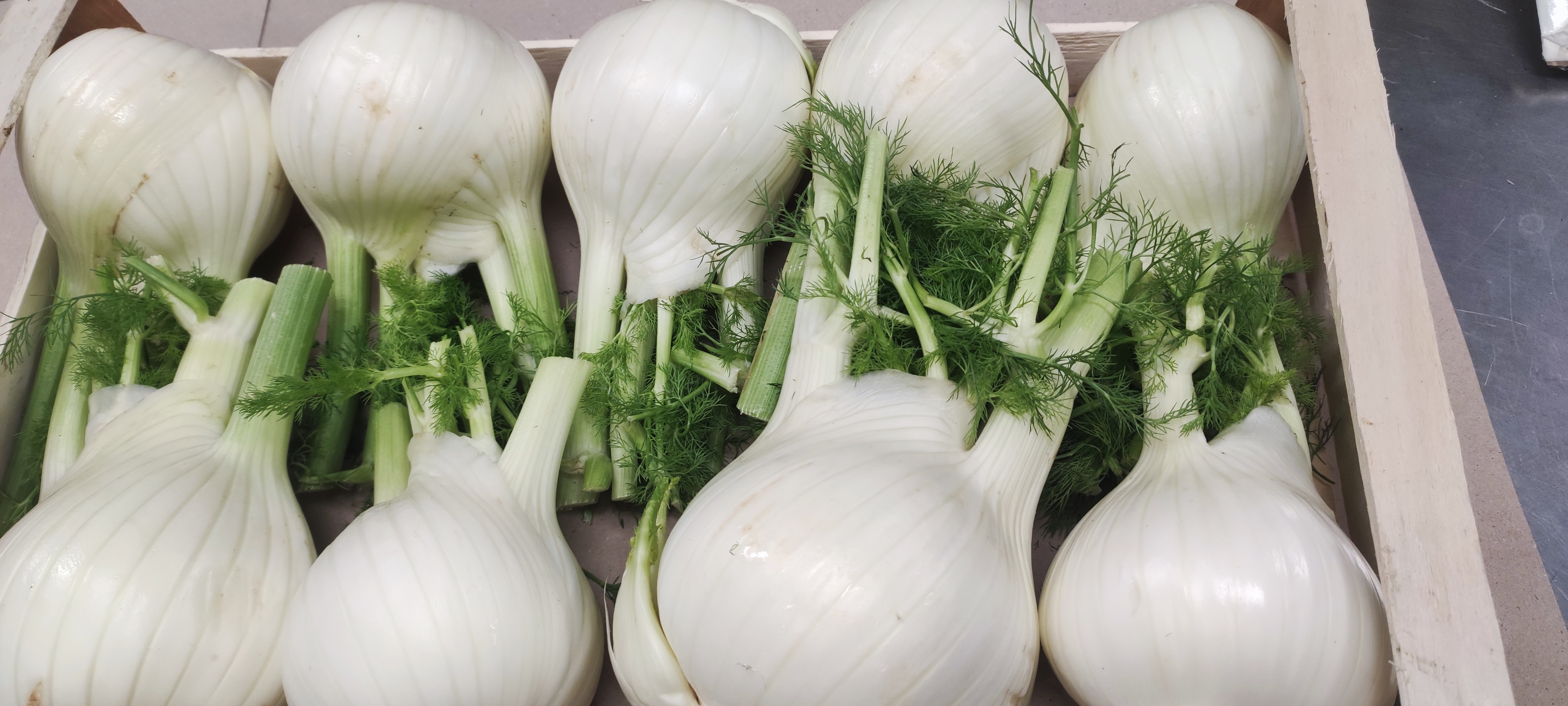 Finocchio  € 2.20 al kg - per 500 g