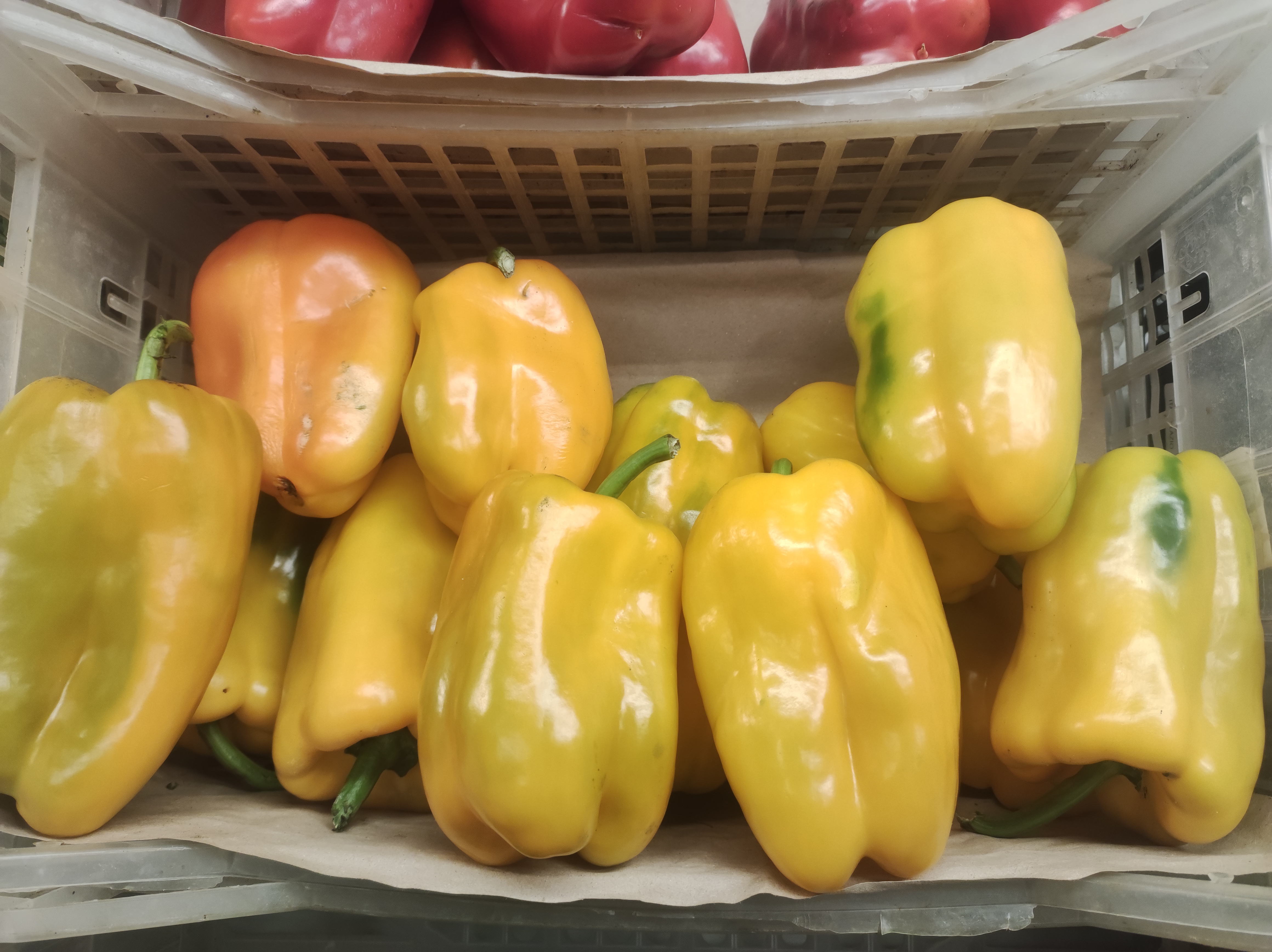 Peperoni gialli del metapontino 4.00 al kg - 500 g