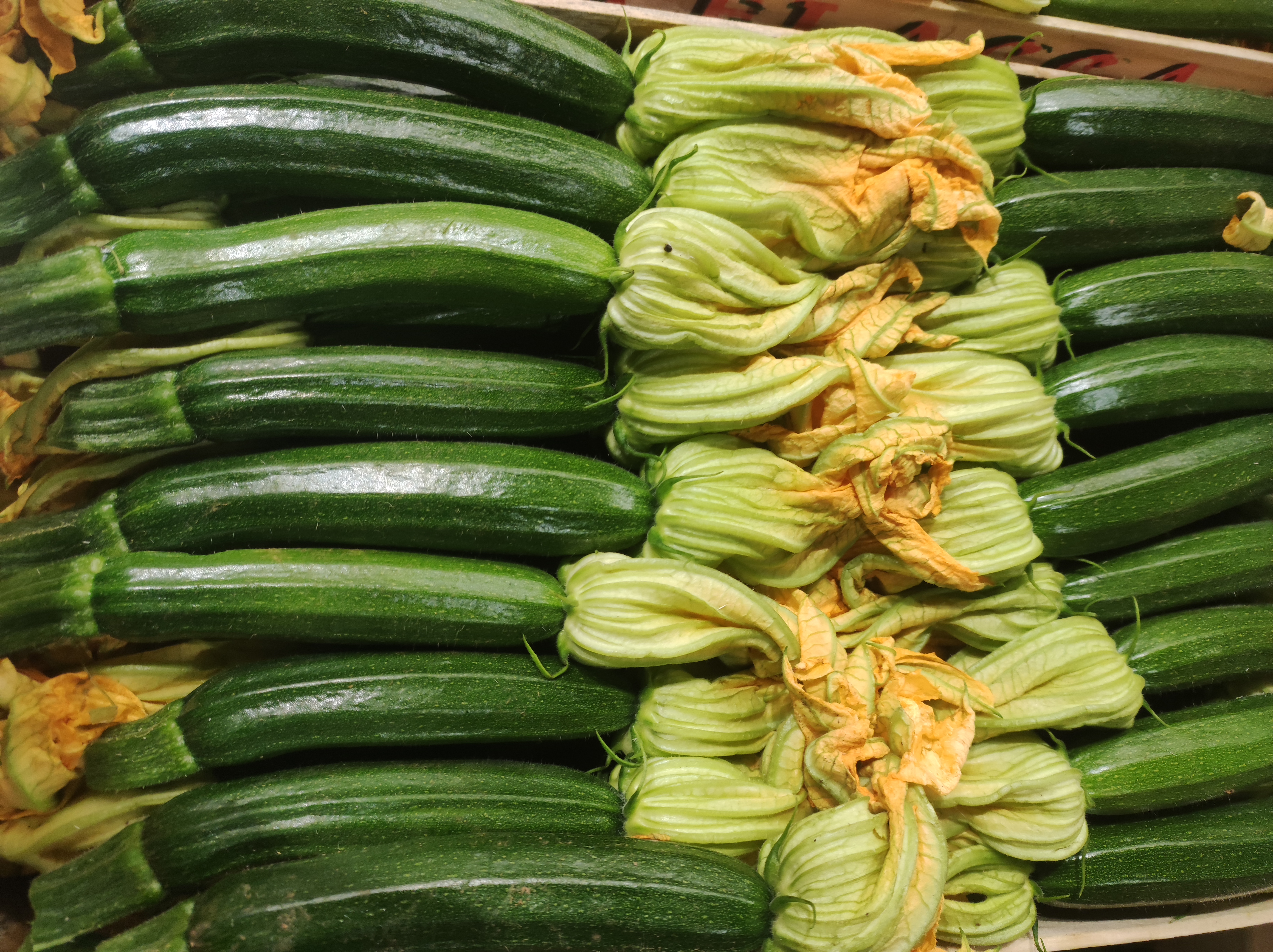 zucchine verdi con fiore € 3.50 al kg, 500 g