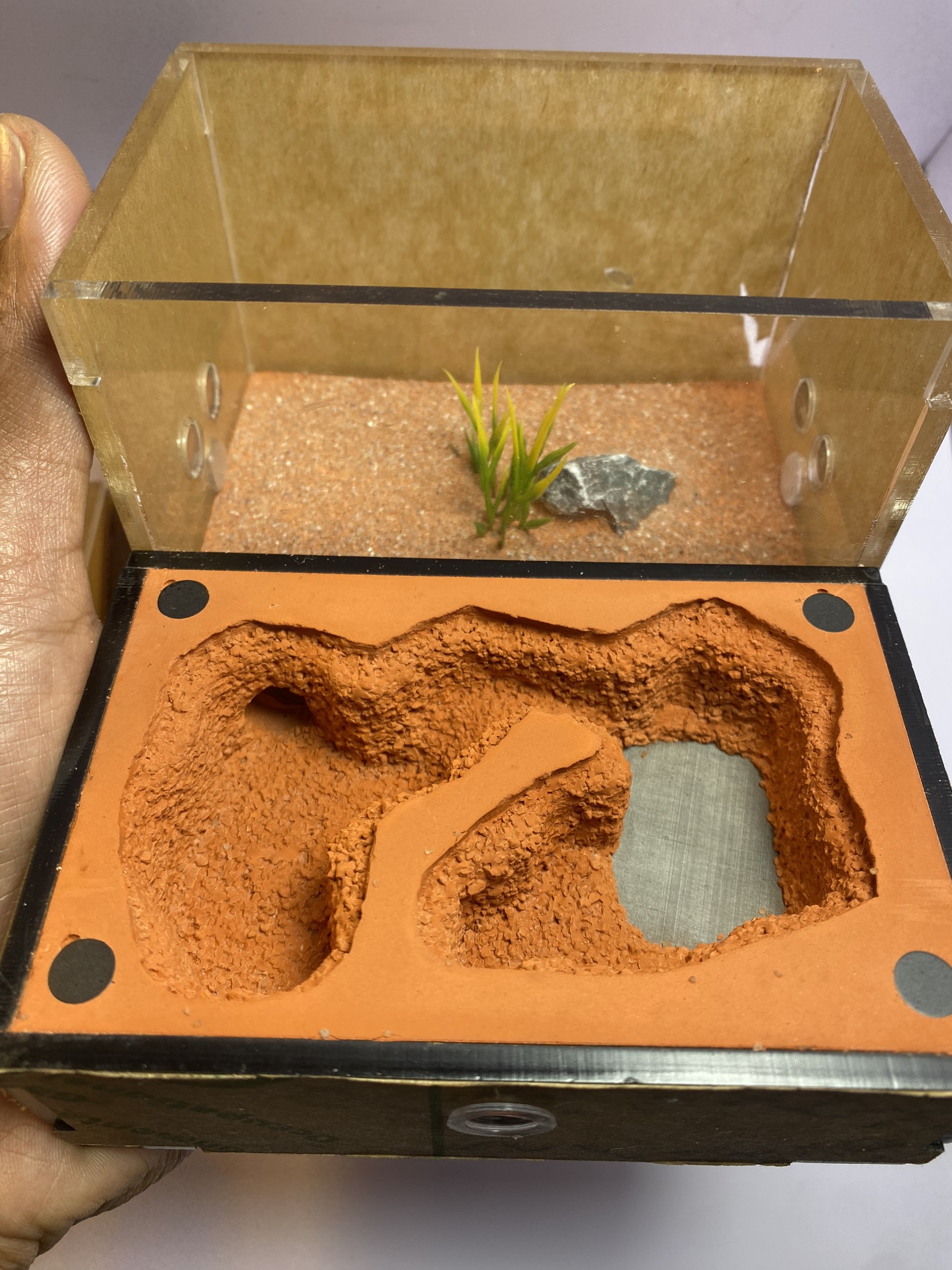 Tank đất đỏ nhập Trung size S | Hiển Kiến