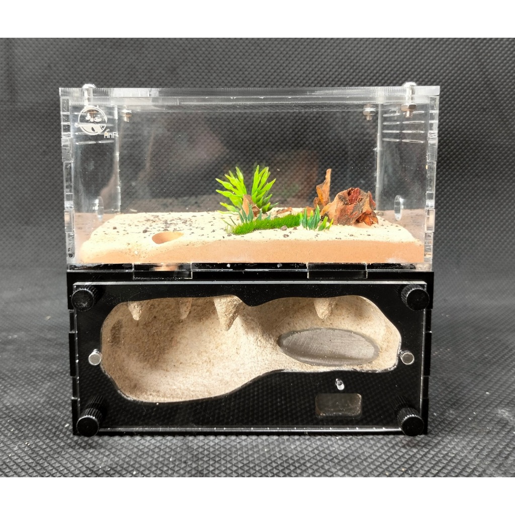 Tank H02 TKVN