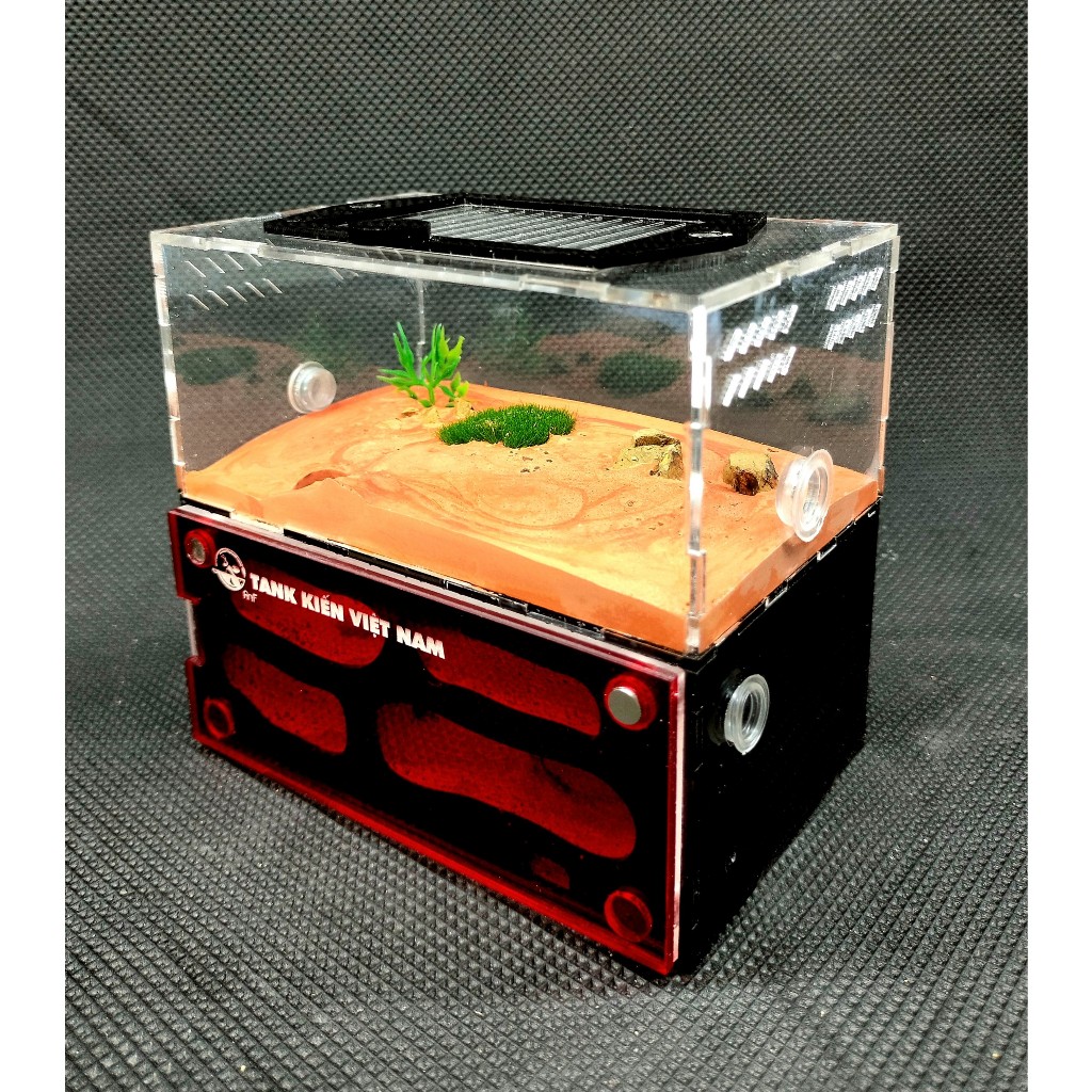 Tank Ytong đứng D01 TKVN