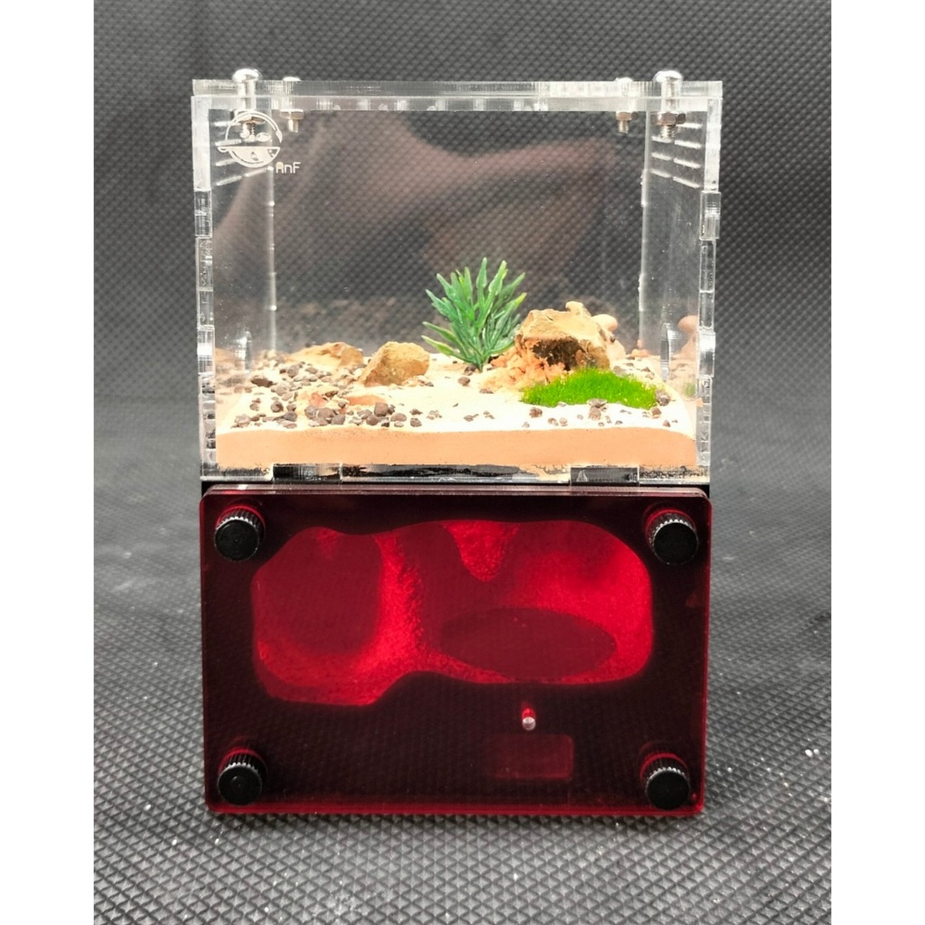 Tank H01 TKVN