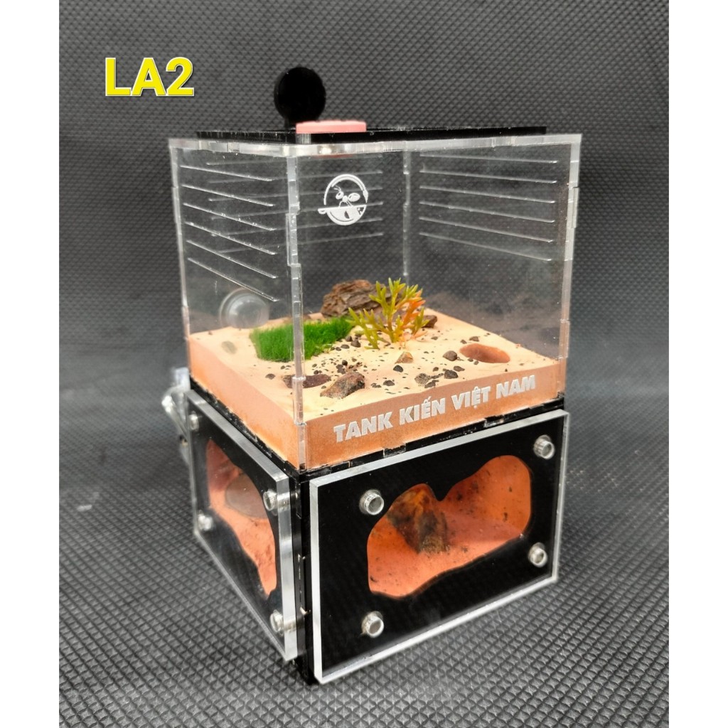 Tank đèn baby 2 mặt- LA2