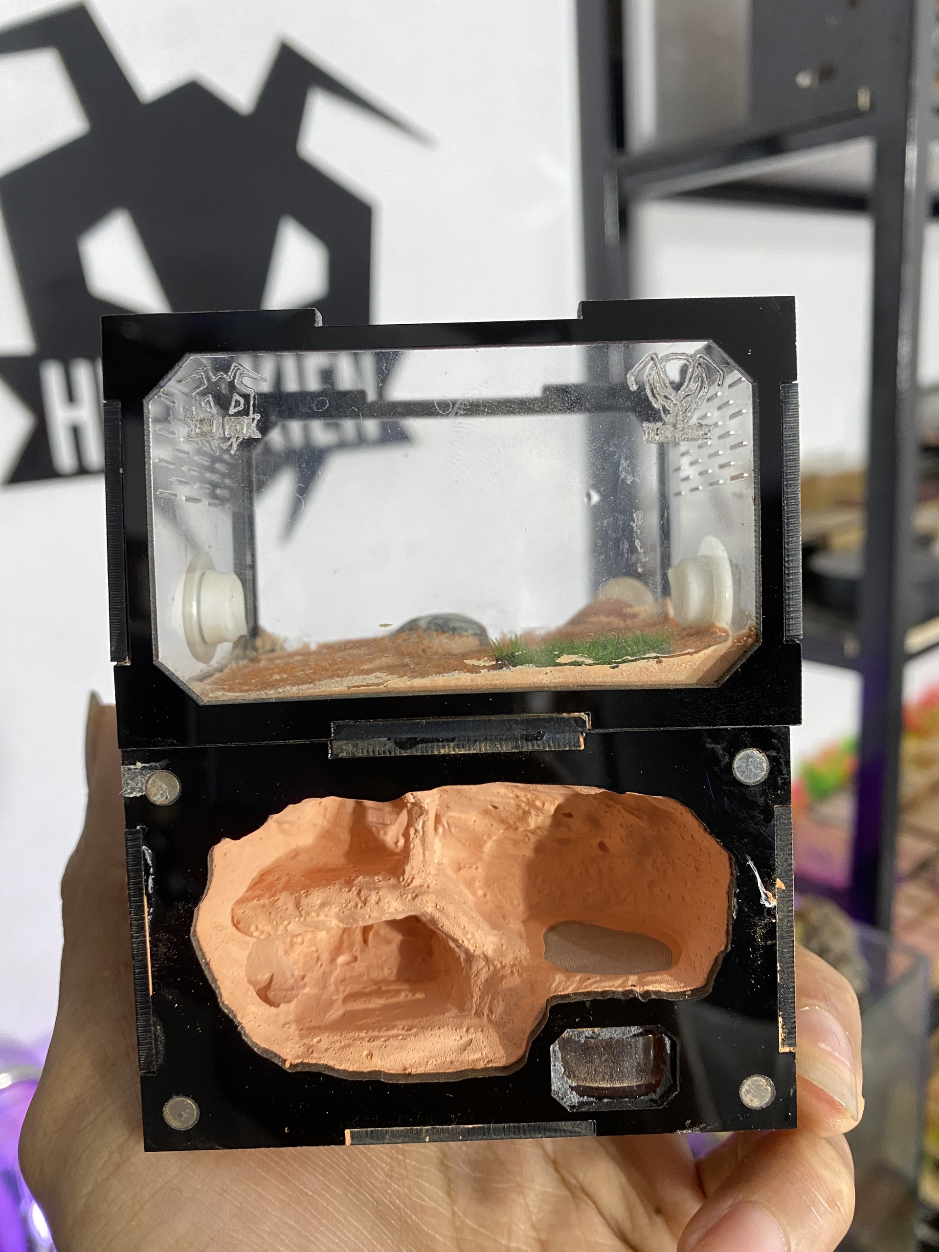 Tank đứng mini Tún Ant | Hiển Kiến
