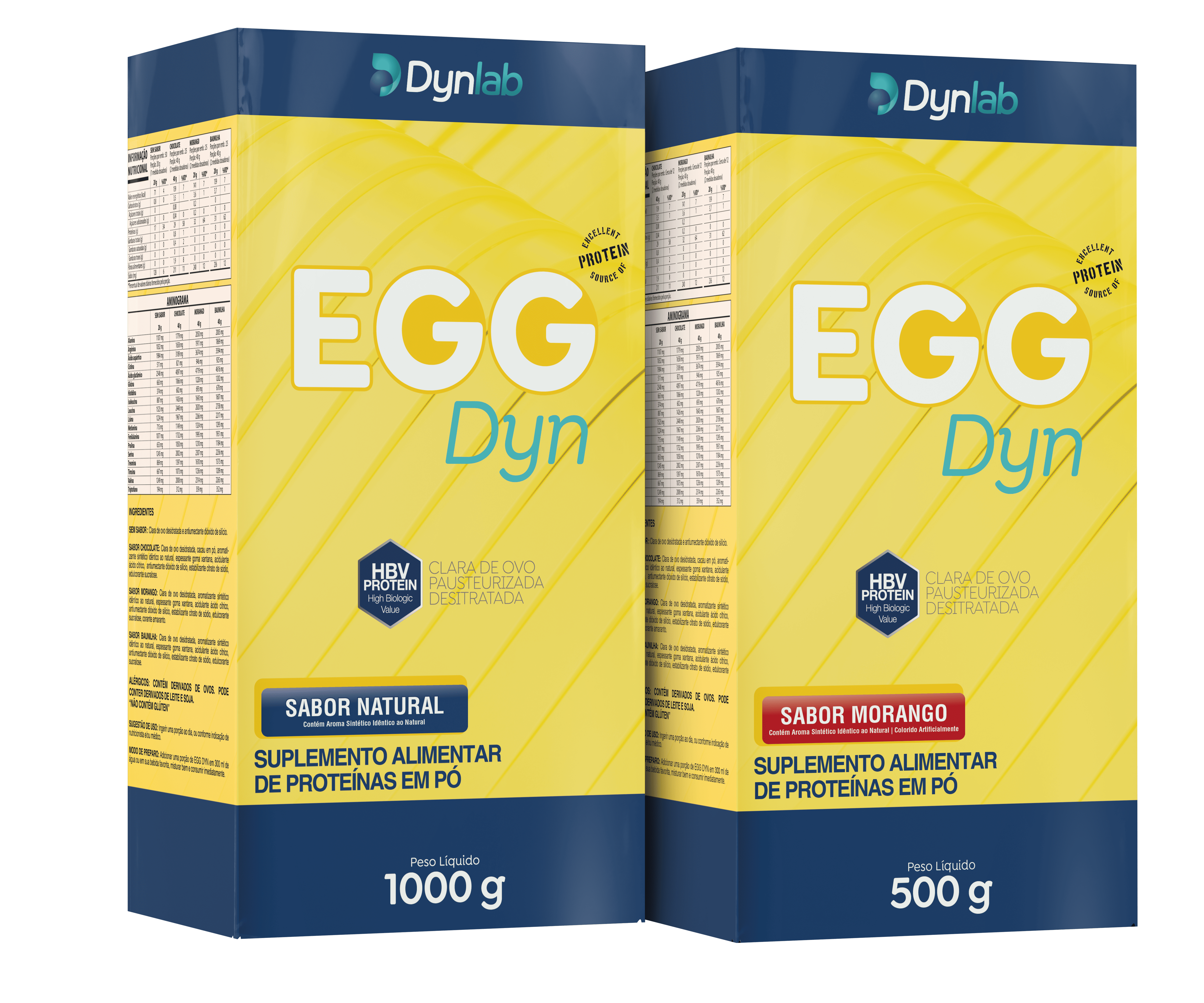 EGG DYN