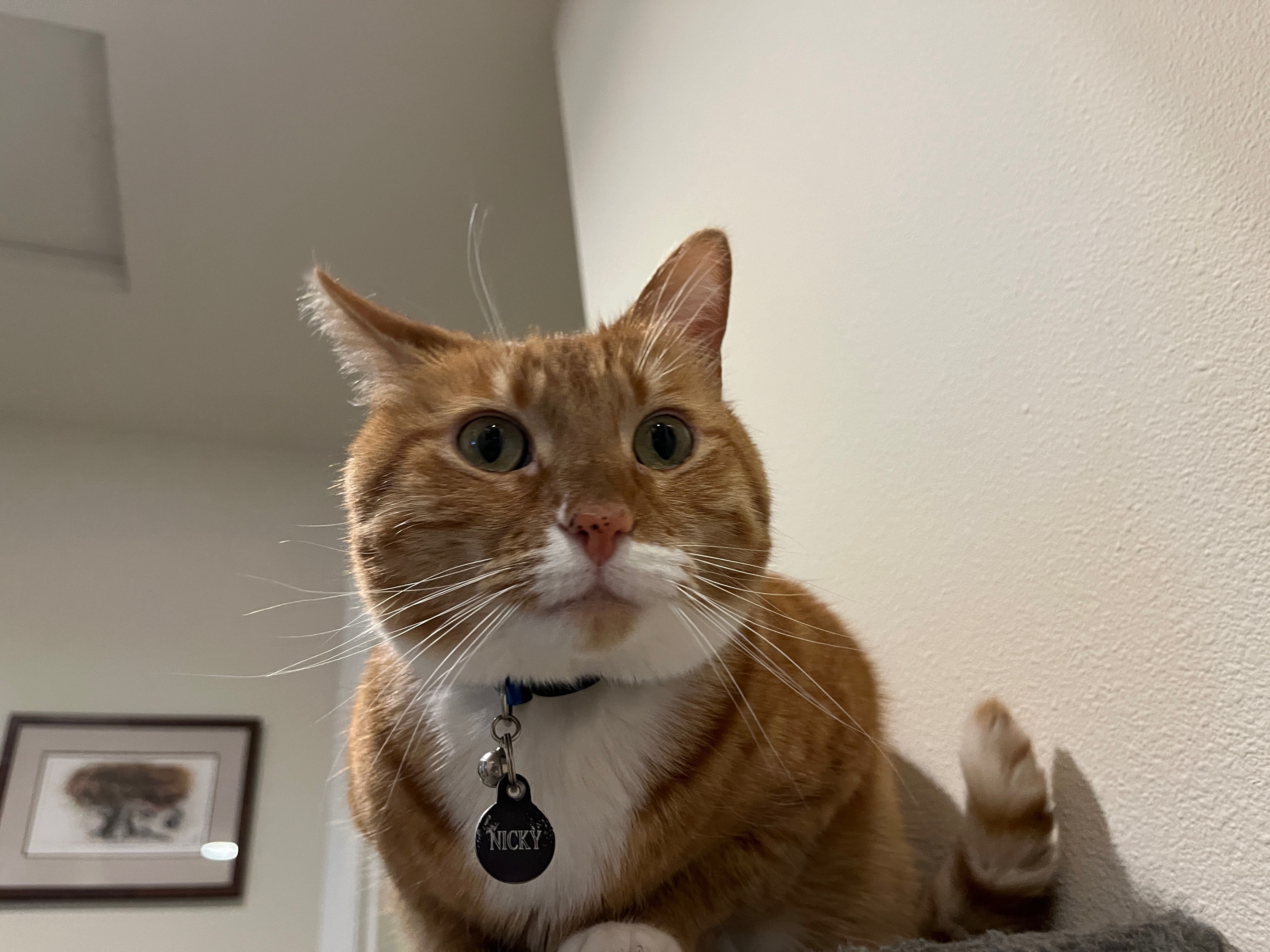 Craniosacral Therapy