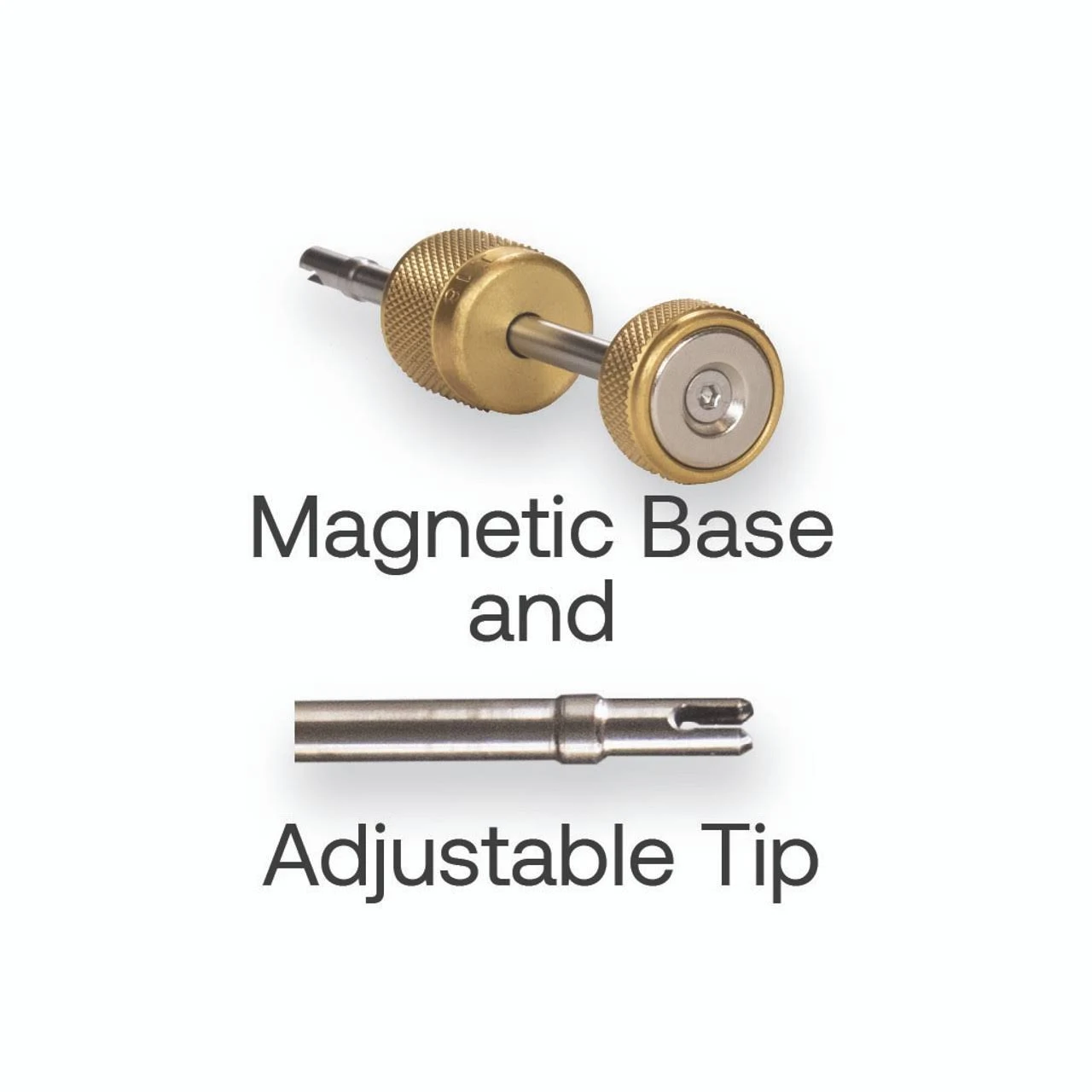 Apion Válvula extractor de nucleo ( obus )MGAVCR 5/16"