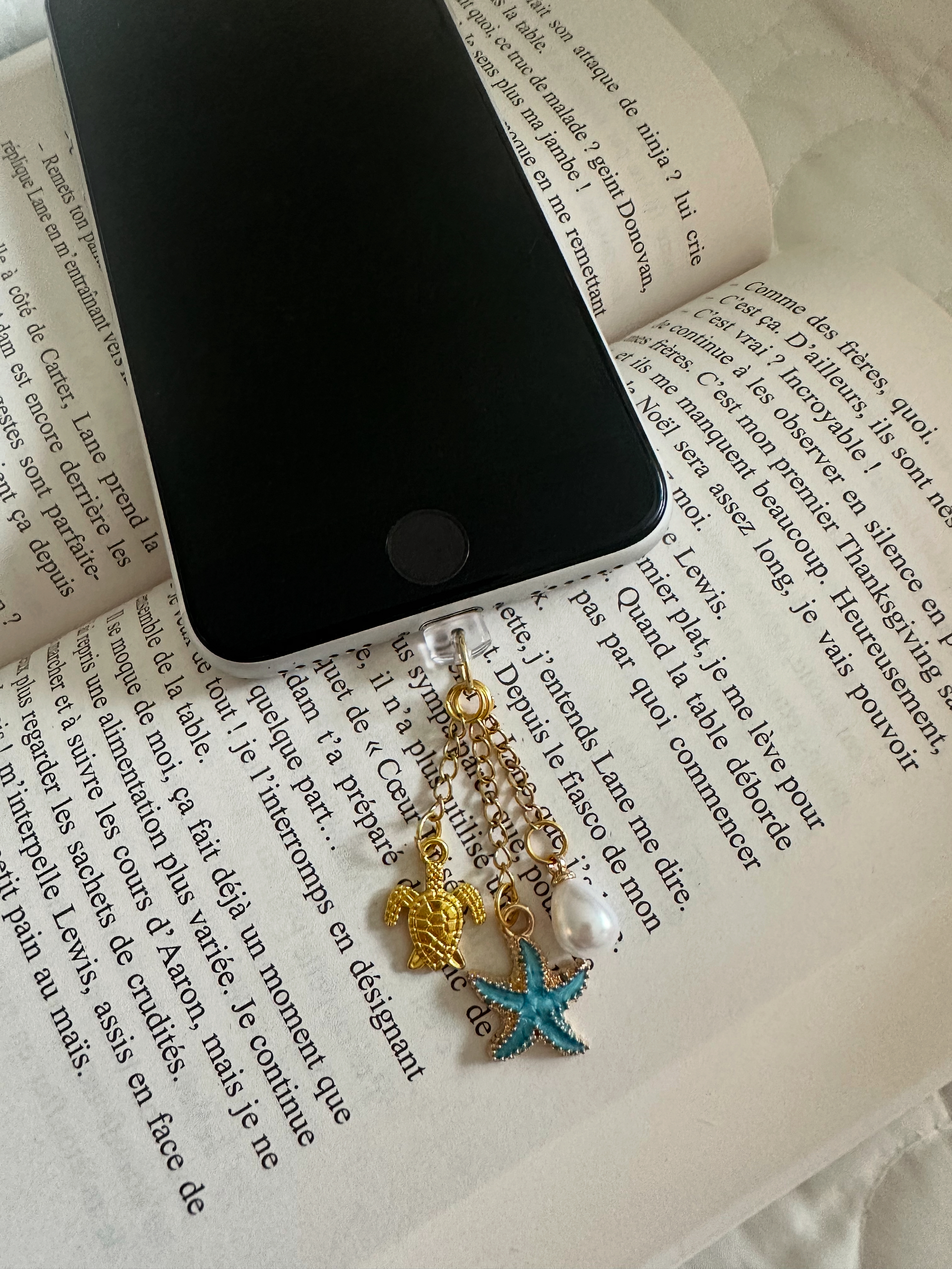 Grigri anti poussière liseuse/téléphone 