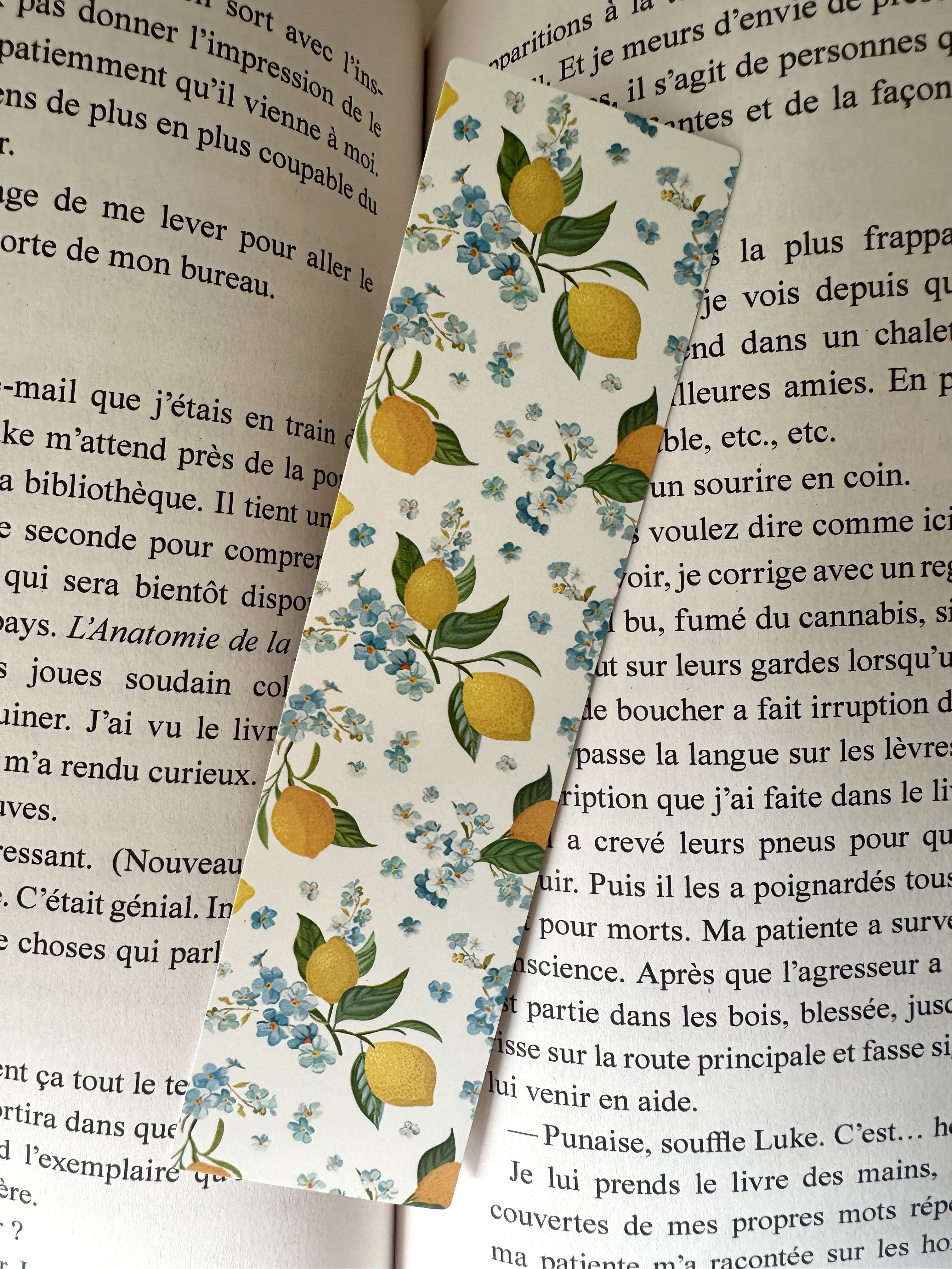 Marque page agrume 