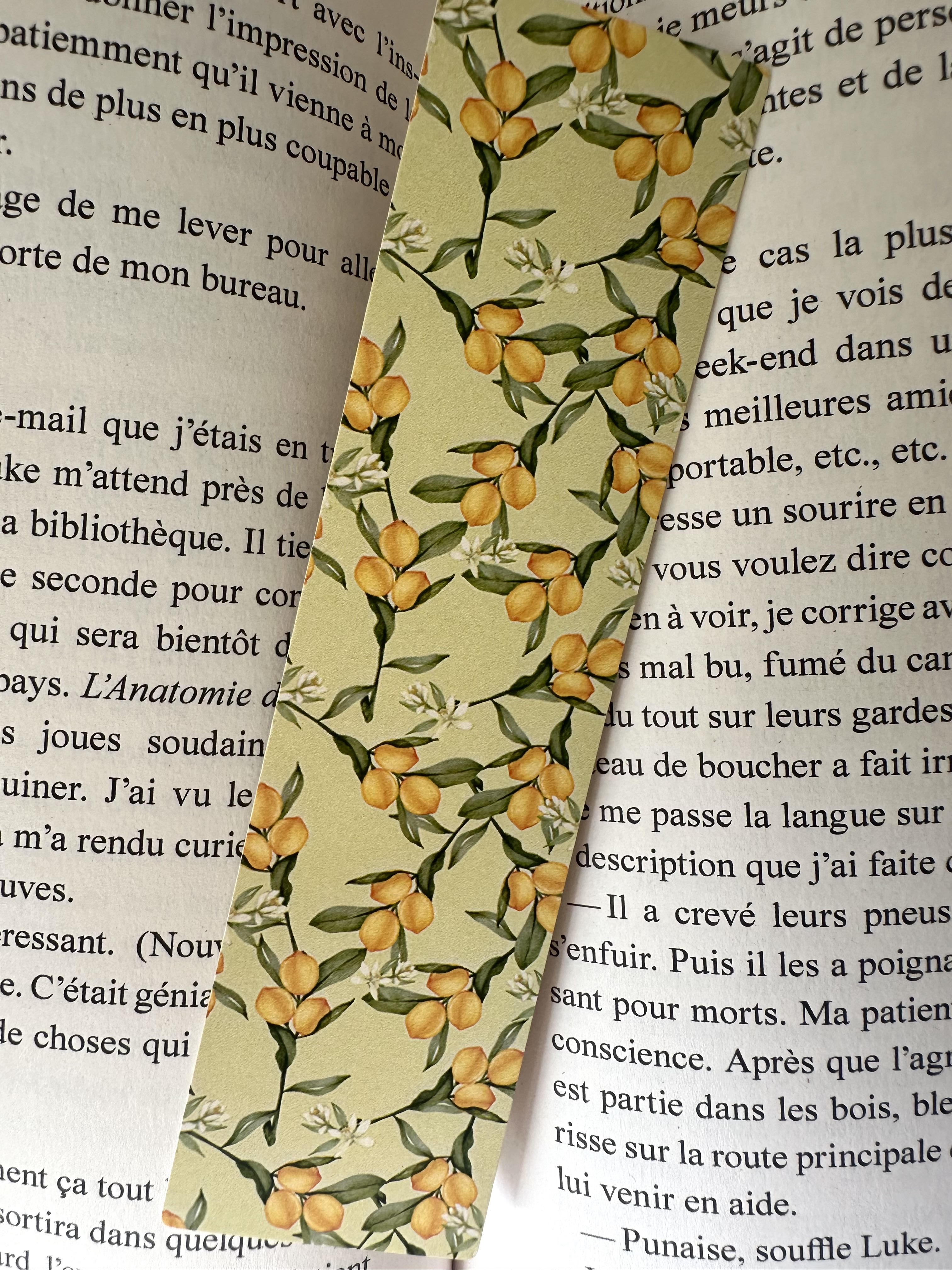 Marque page agrume 