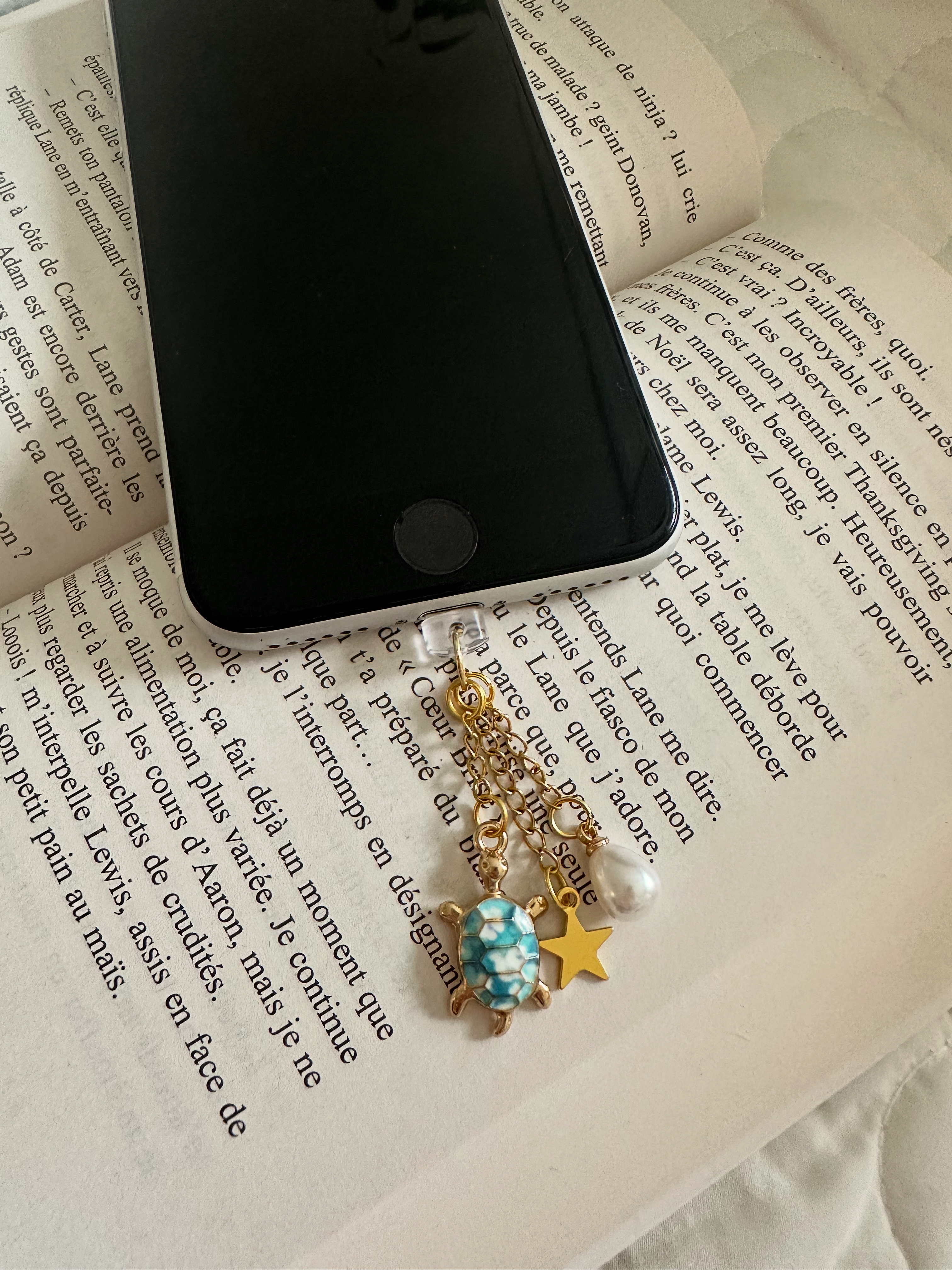 Grigri anti poussière liseuse/téléphone 