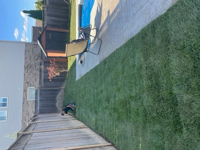 Sod Installation