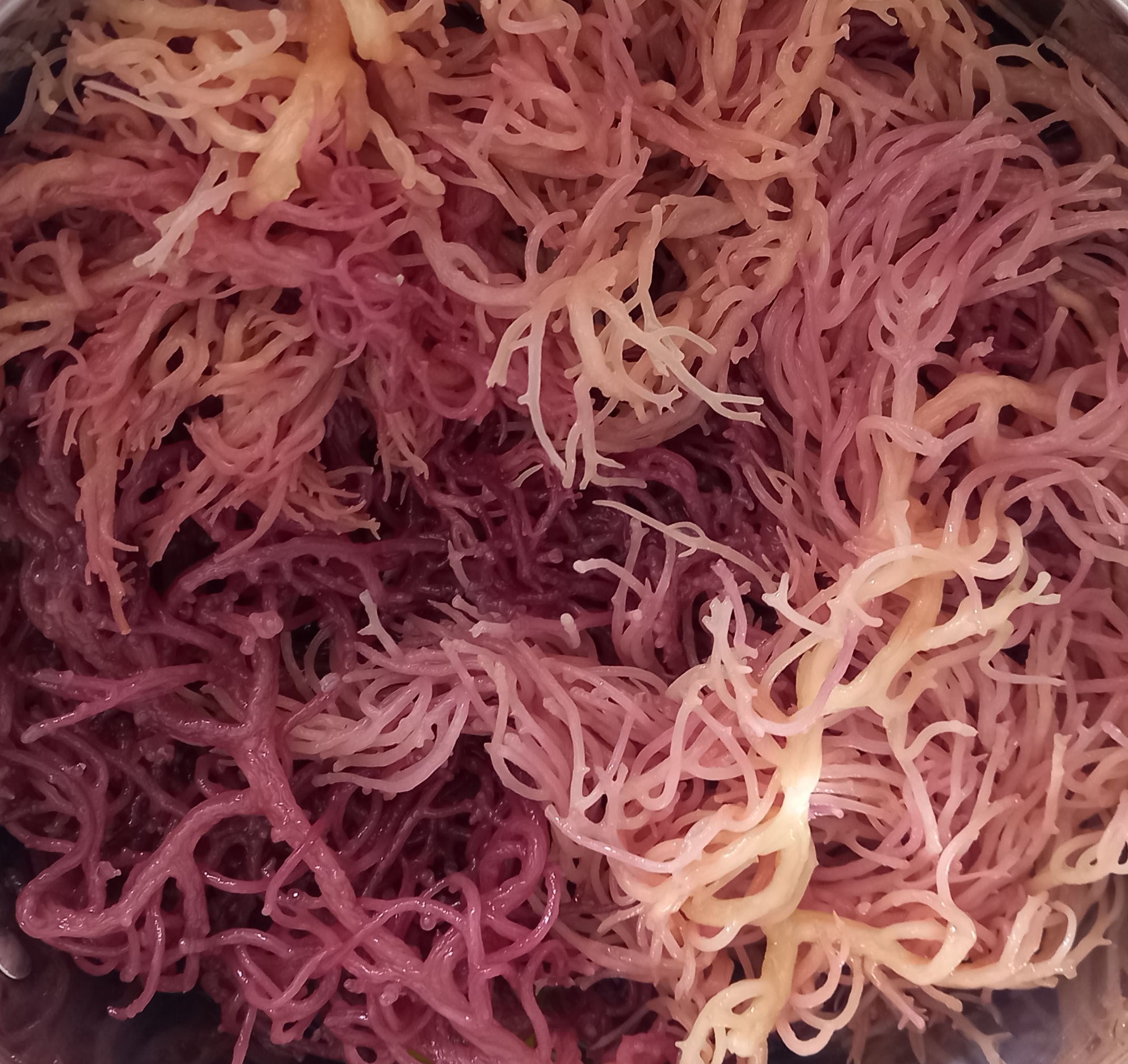 Digestive Tea - Sea Moss Sorrel/Hibiscus & Ginger
