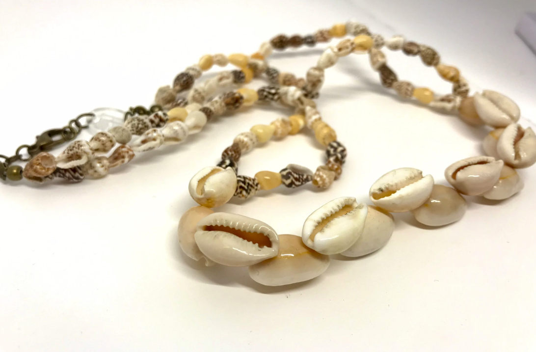 Natural Sea Shell Necklace