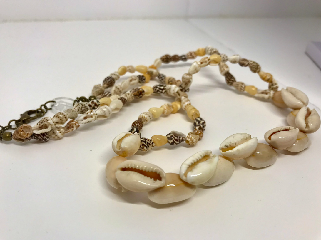 Natural Sea Shell Necklace