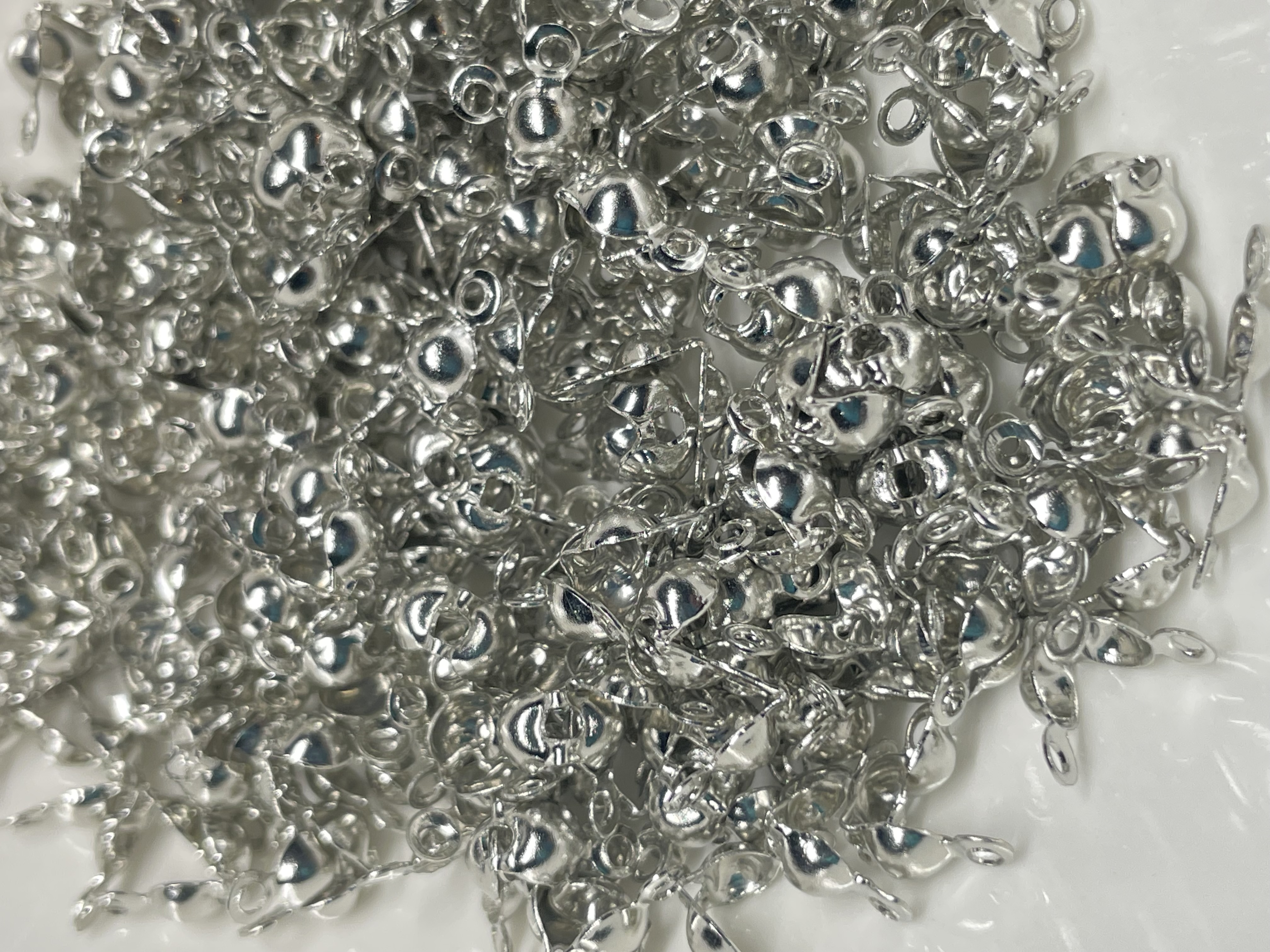 Silver Clamshell Callottes 