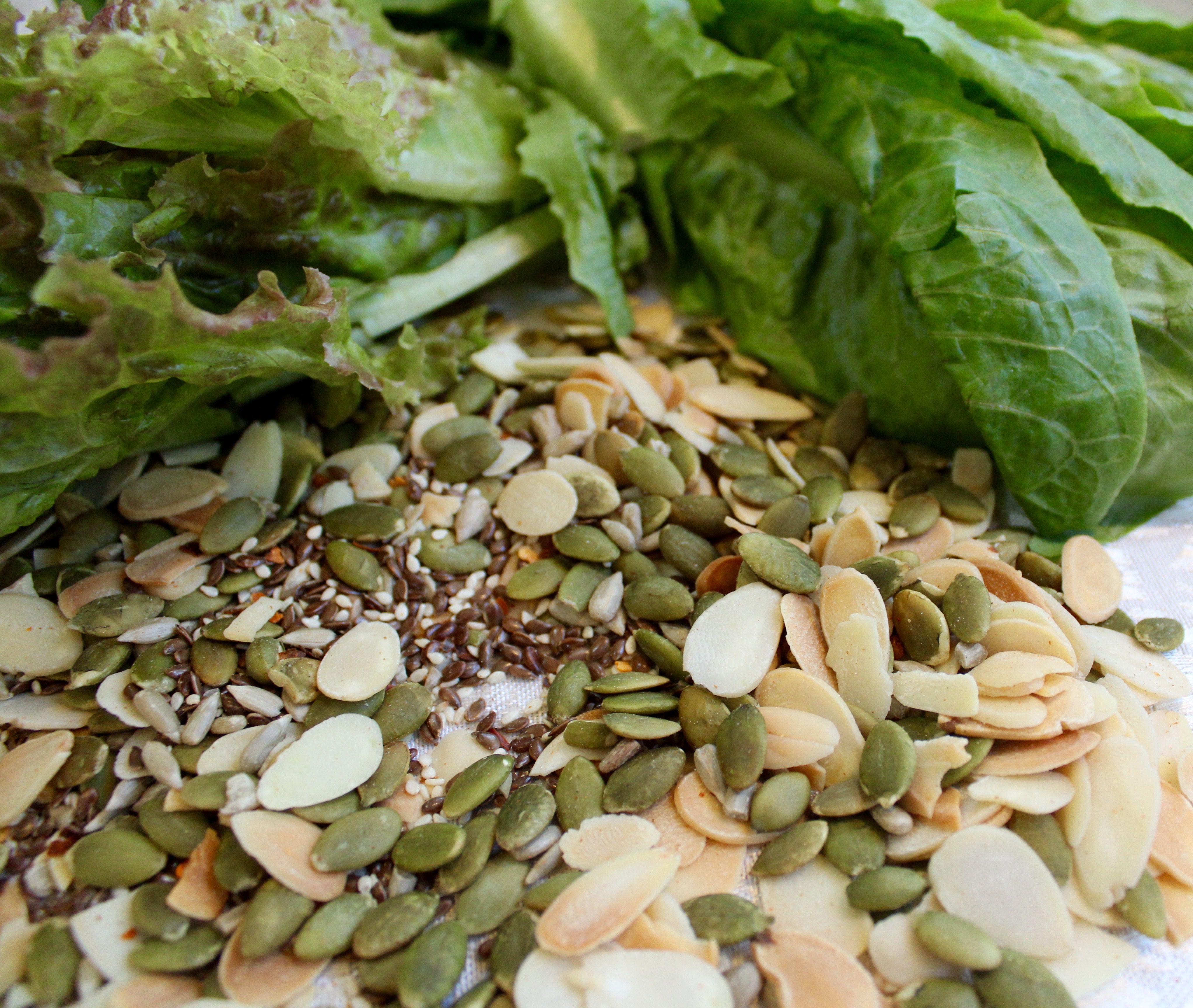Mélange de graines pour salade