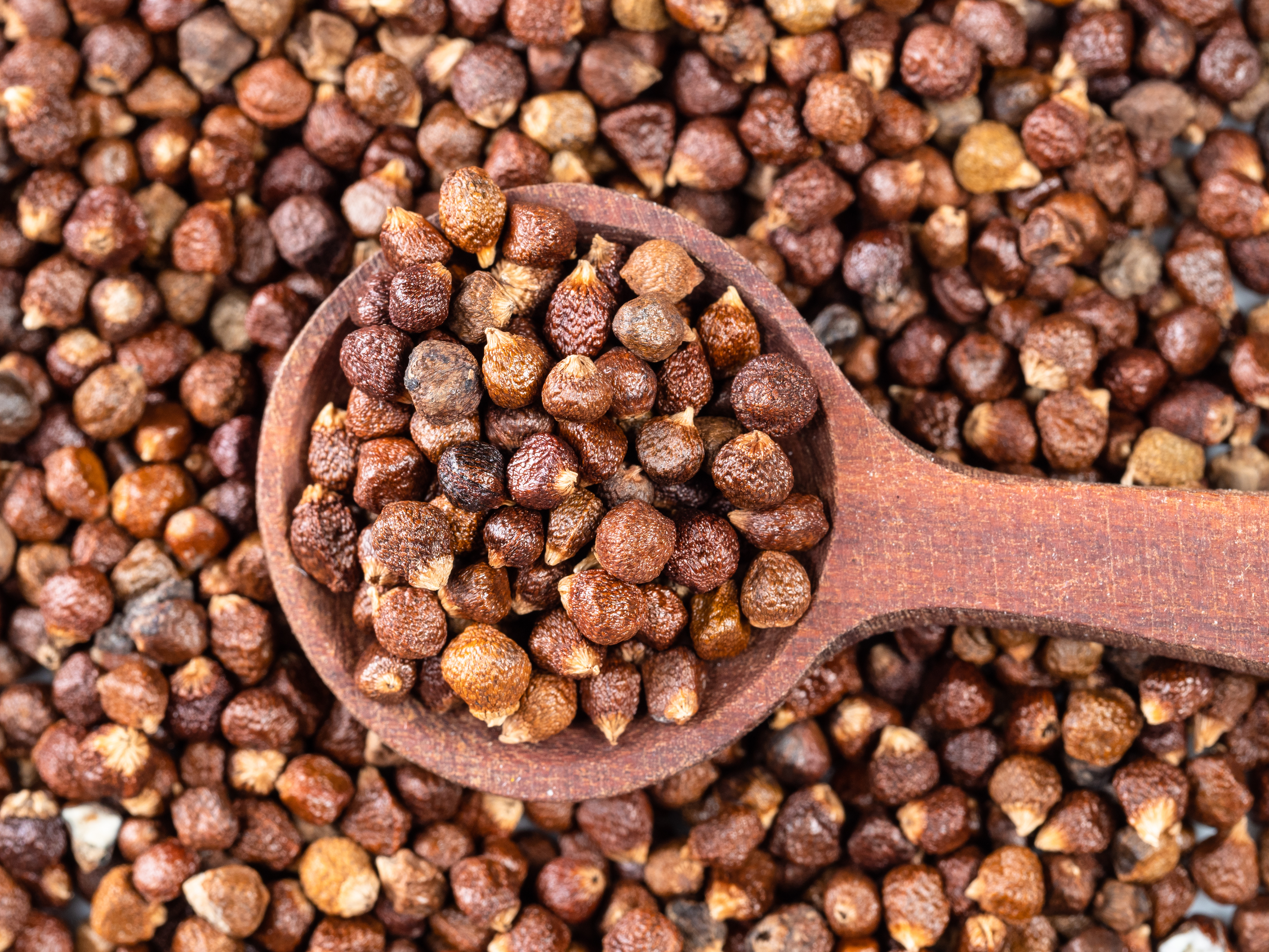 Grains de Paradis