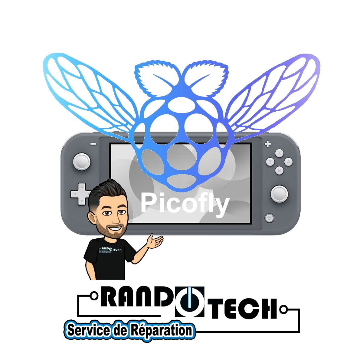 Installation Puce sur Nintendo Switch