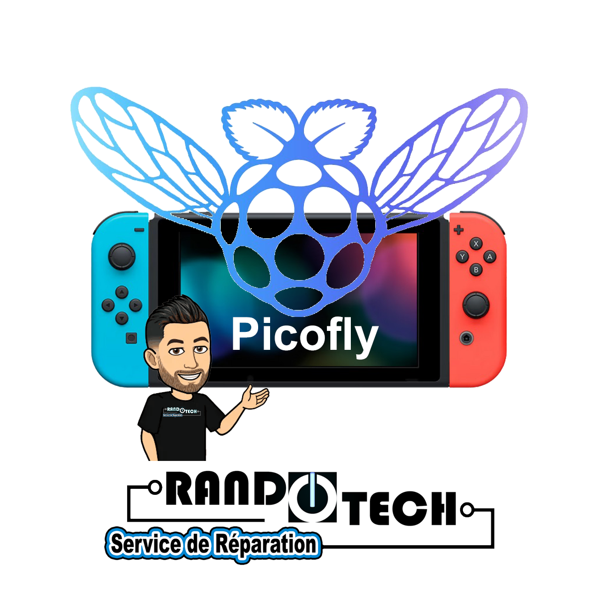 Installation Puce sur Nintendo Switch
