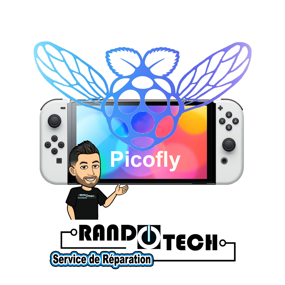 Installation Puce sur Nintendo Switch